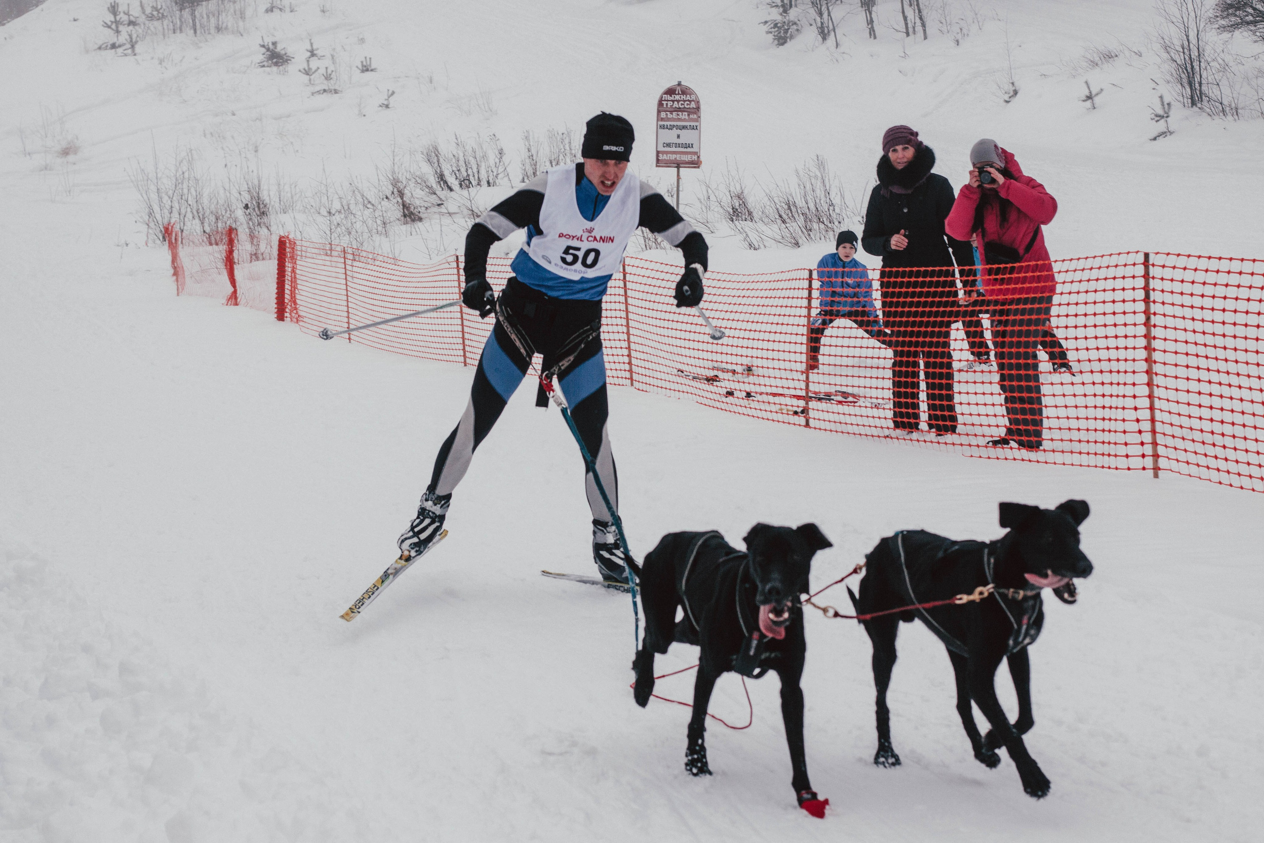 Гонки на ездовых собаках в Токсово. Репортажный фотограф во Всеволожске и Санкт-Петербурге Владимир Капустин
