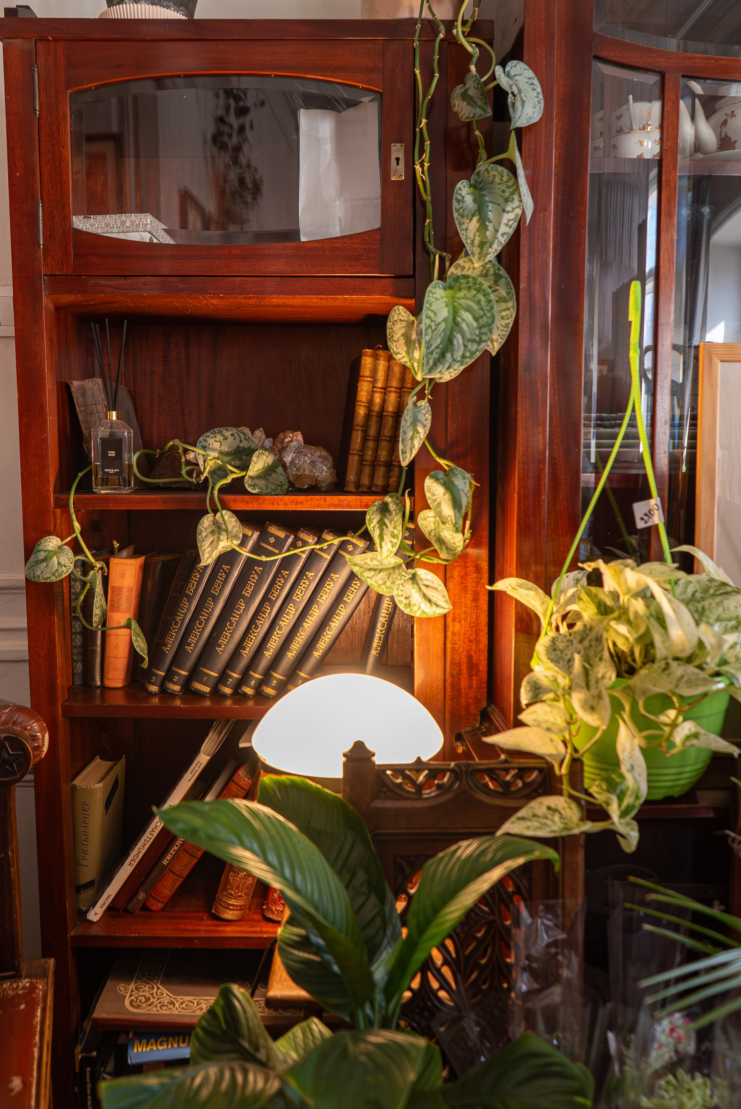 Усадьба. Александра Куликова фотограф, Москва