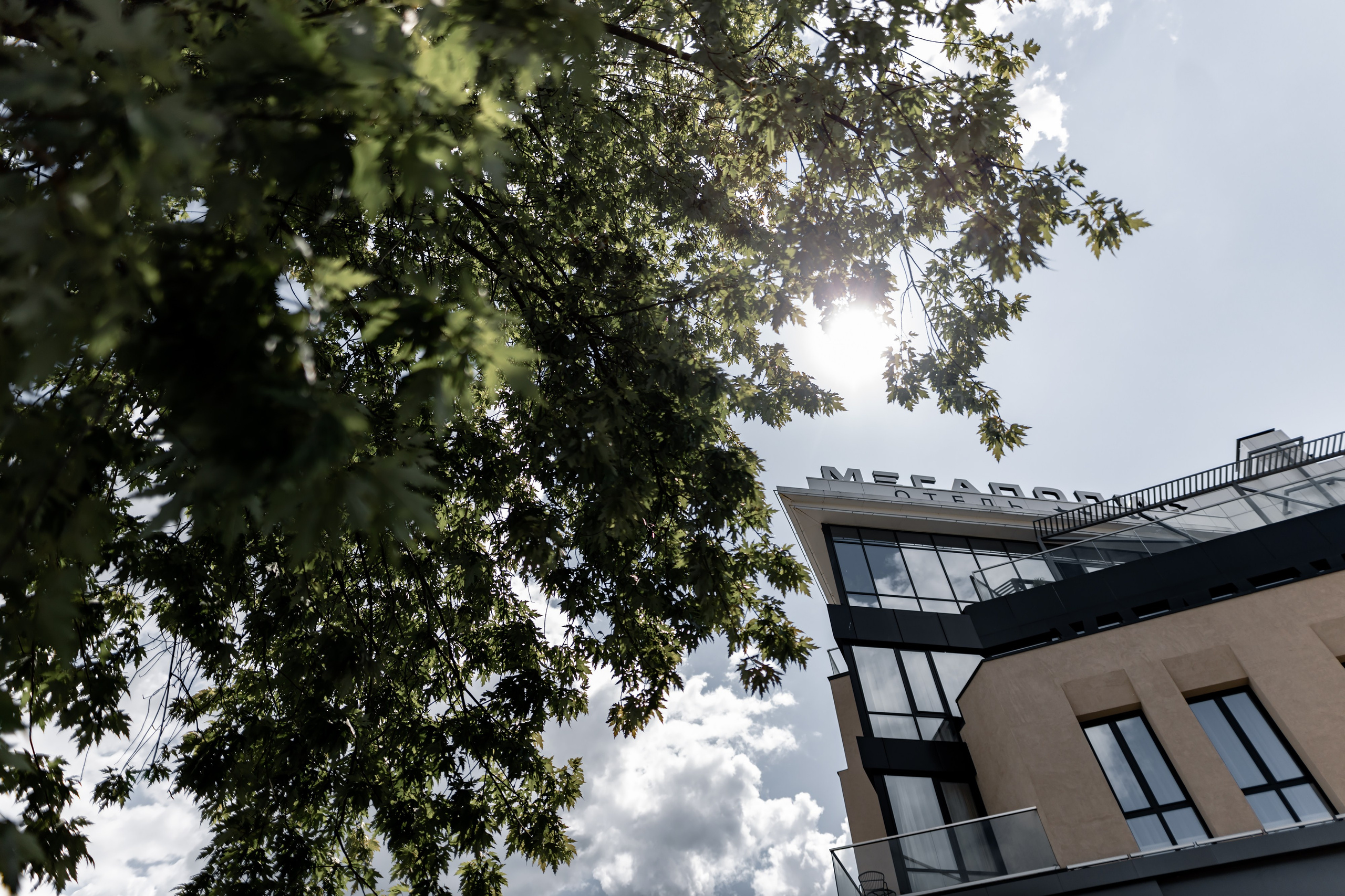 Дмитрий и Анна. Дмитрий Позняк — свадебный фотограф в Брянске. Личный сайт фотографа