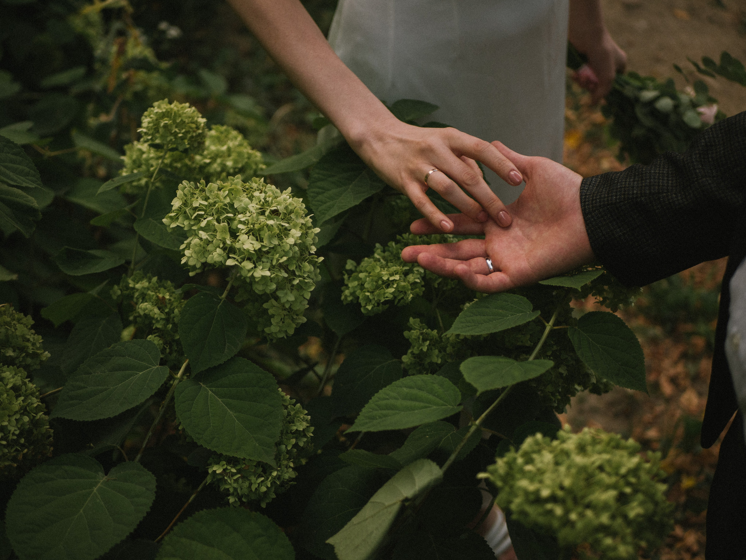 Свадьба для двоих. Фотограф Нэля Хаматова