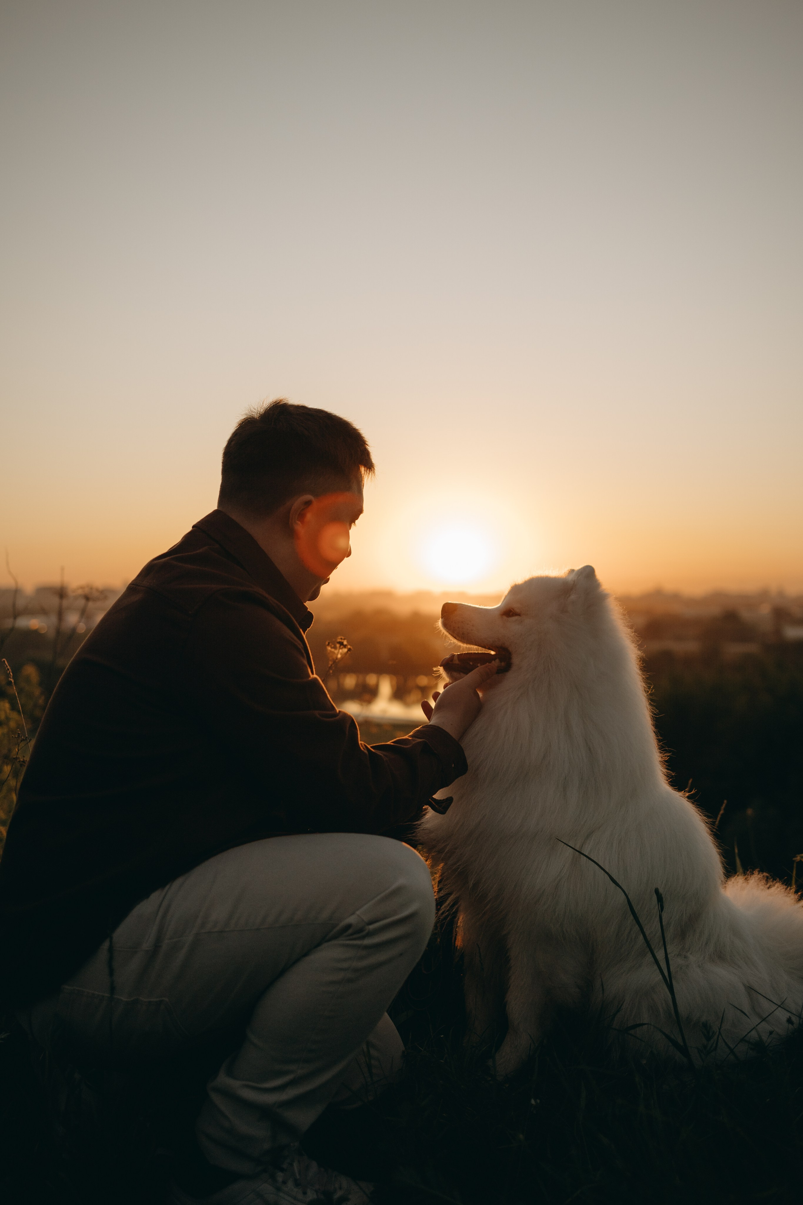 Танго и его семья. Фотограф — Анималист | Санкт-Петербург