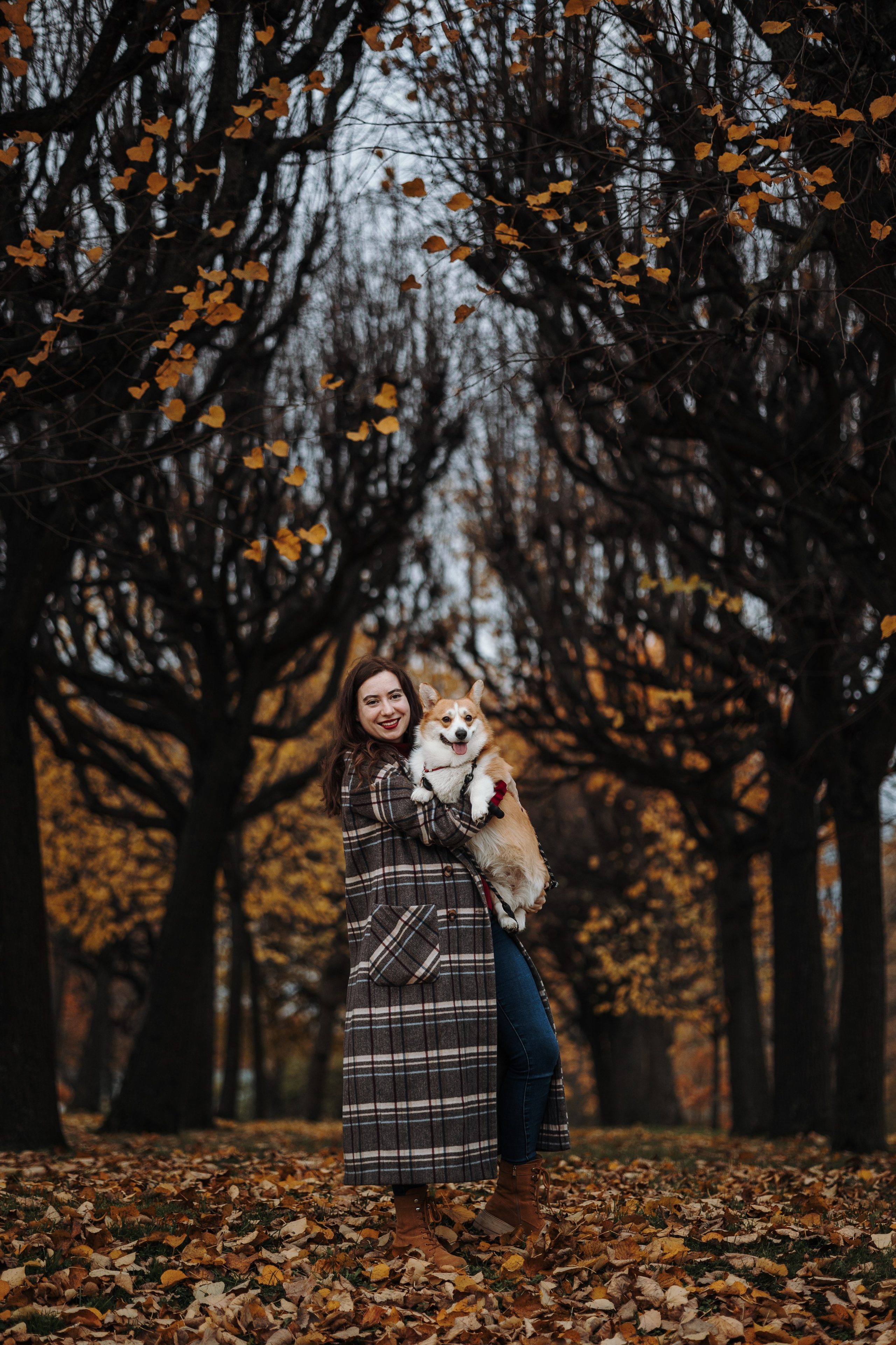 Юля и Терри. Фотограф — Анималист | Санкт-Петербург