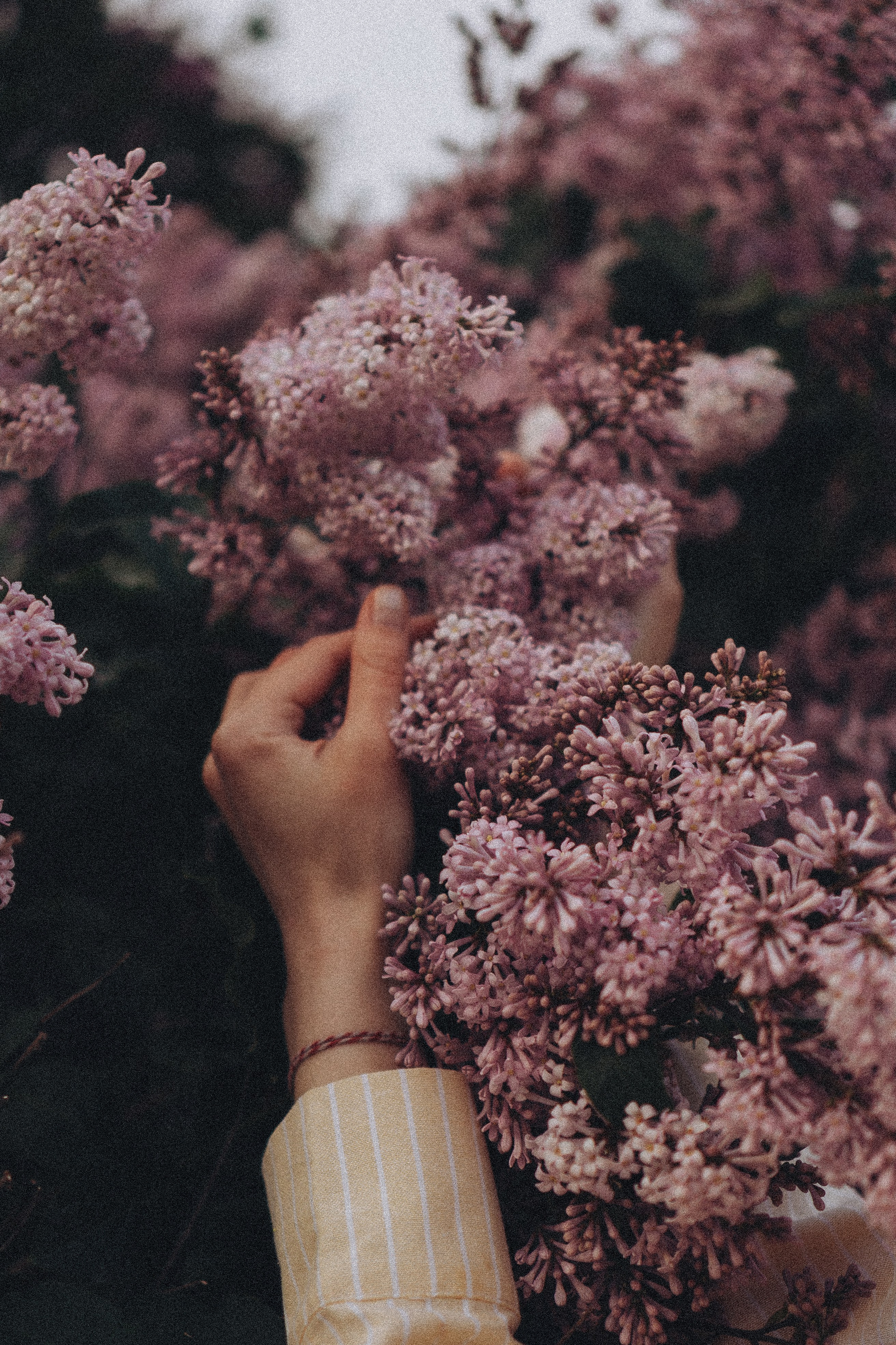 Весна. Профессиональный фотограф, Санкт-Петербург — Виктория Богомолова