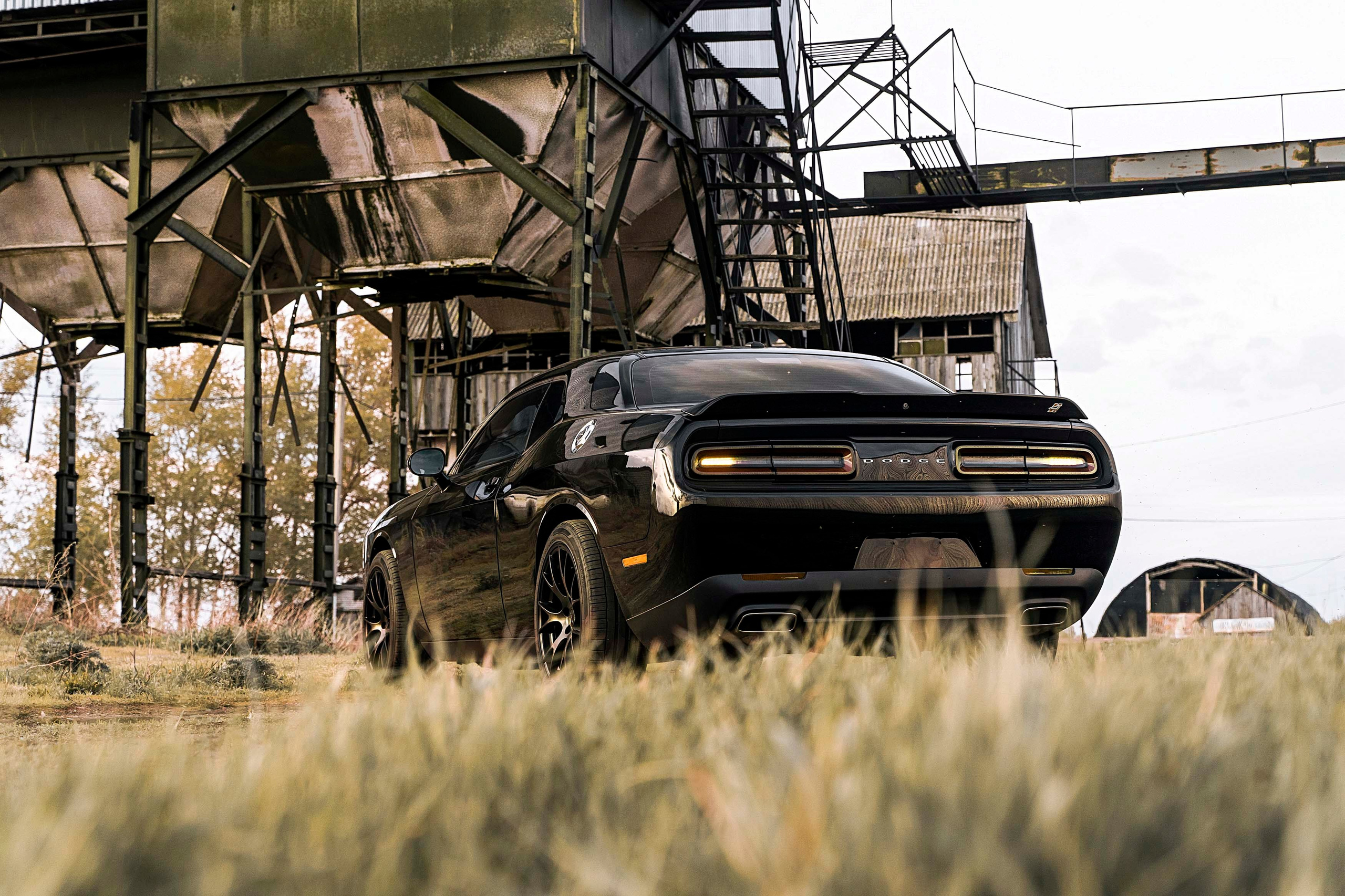 Dodge Challenger. Фотограф Казань