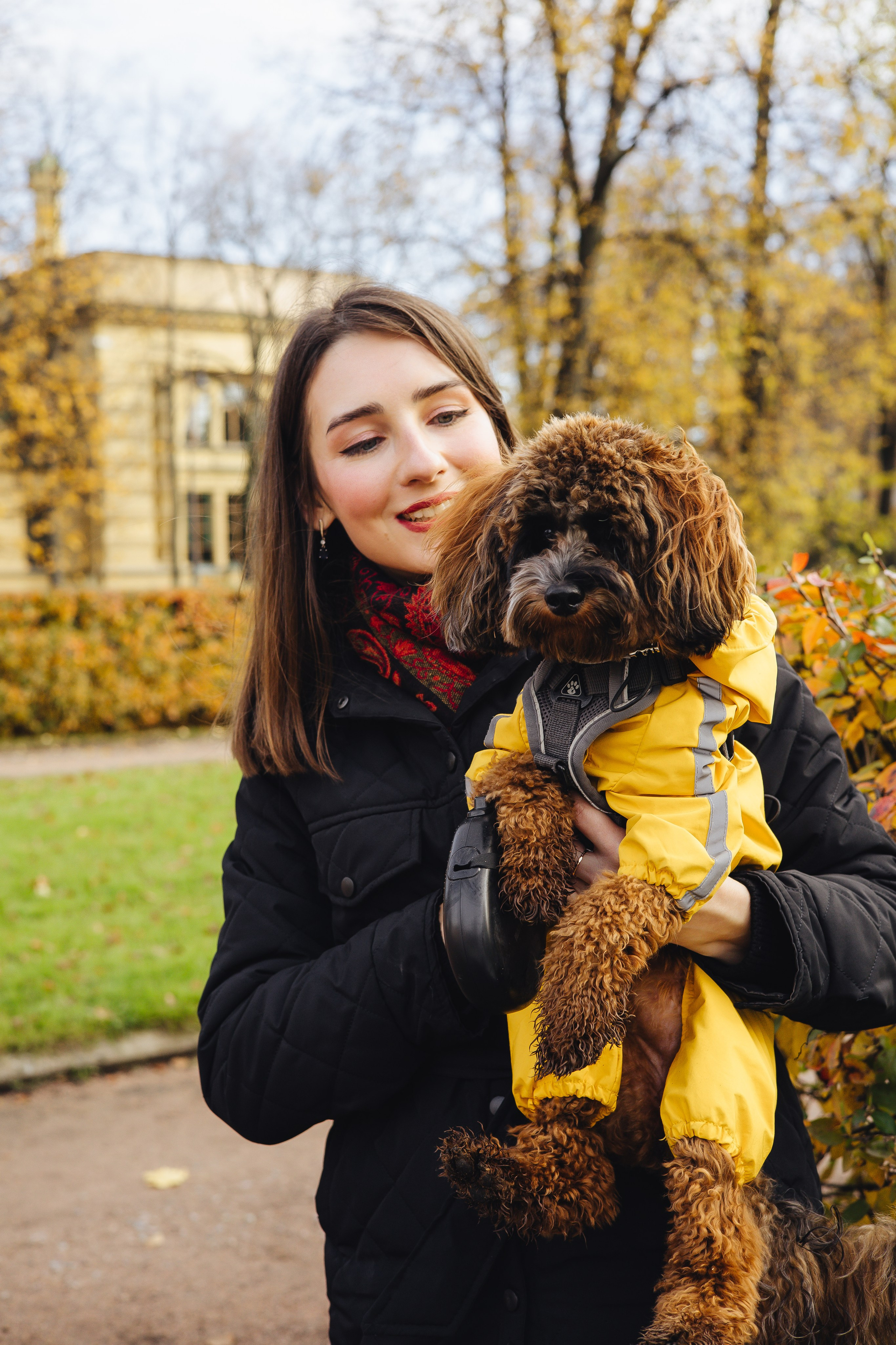 Летающая Мерси