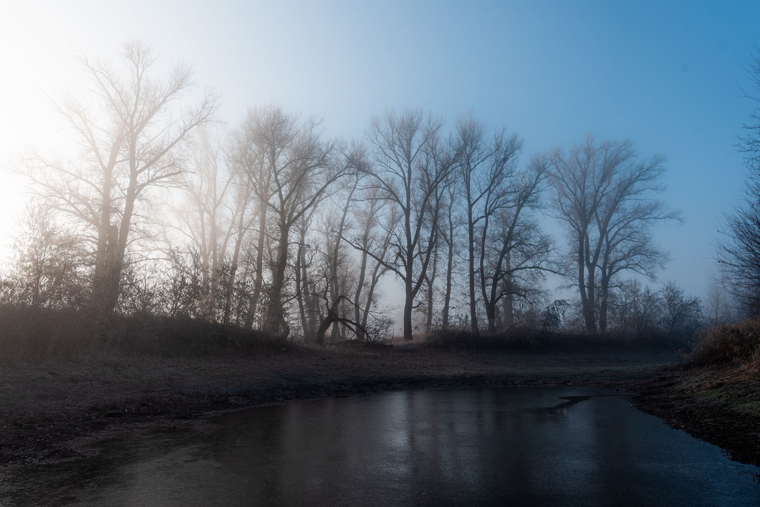 Фотографии утреннего тумана под Волжским. Фотограф в Волгограде и Волжском Александр Горбань