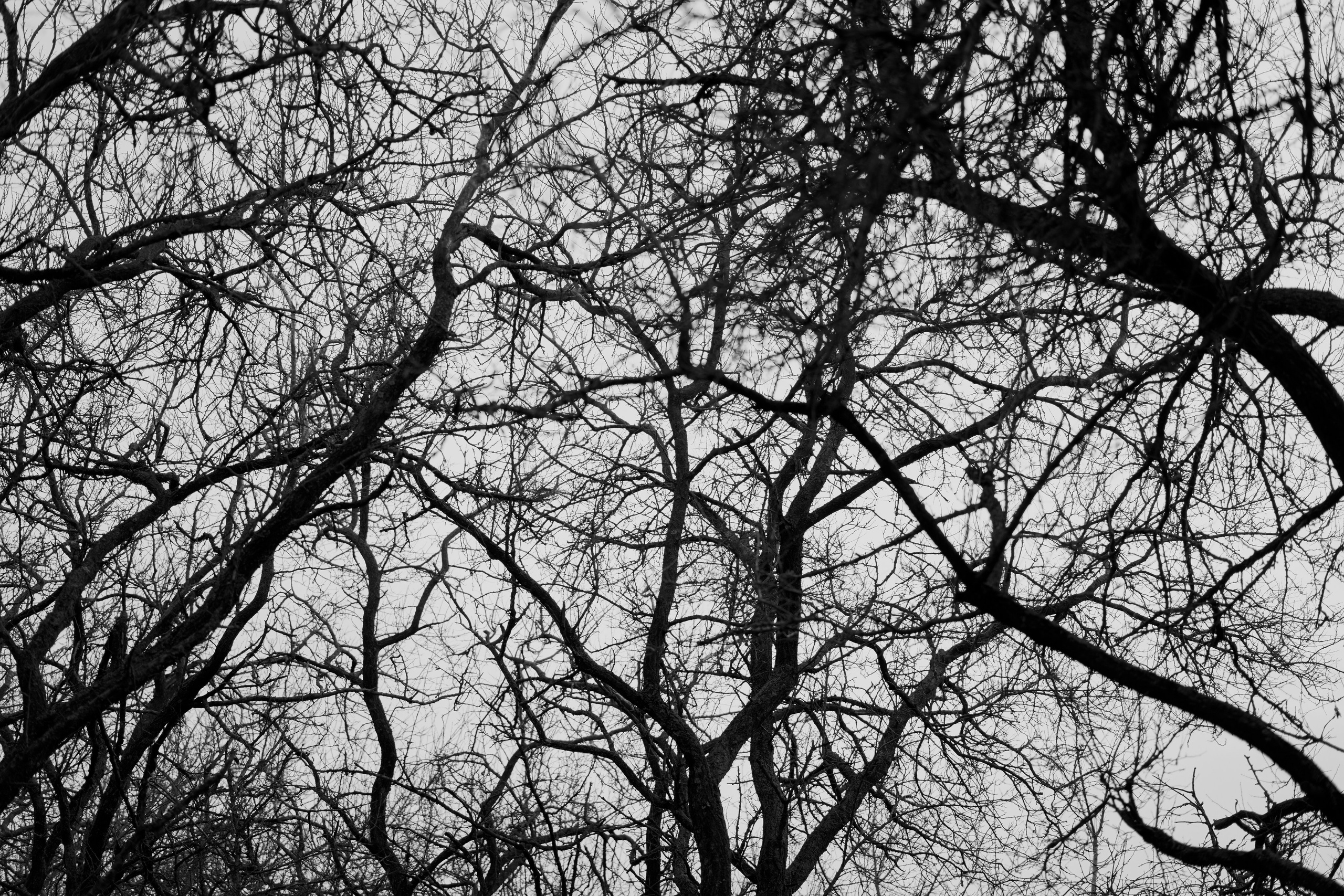 Костя и Оля. Чумаков Алексей Фотограф|Видеограф свадебные, индивидуальные, семейные, репортаж