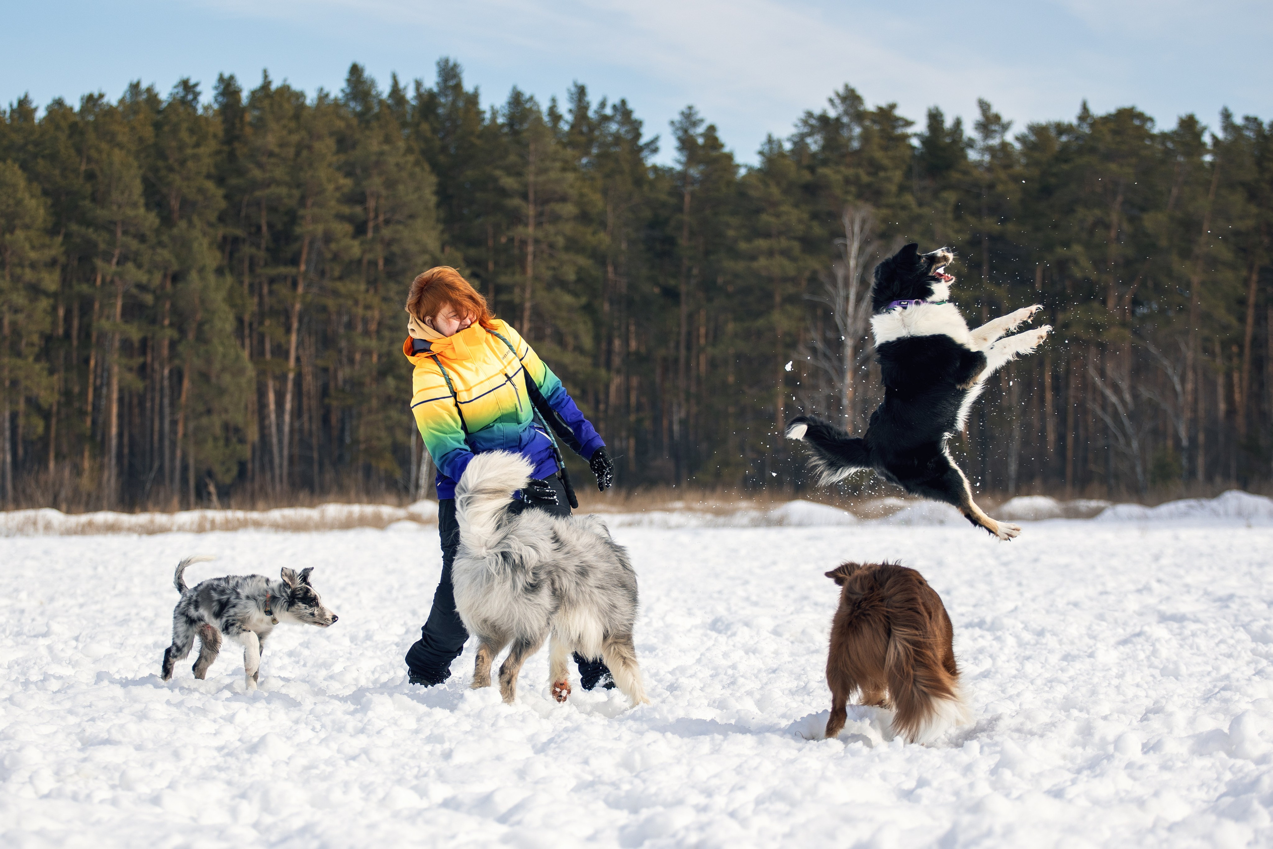 В погоне за снежком…. YULA KOLESOVA | Фотограф — Анималист | Художник | Тюмень