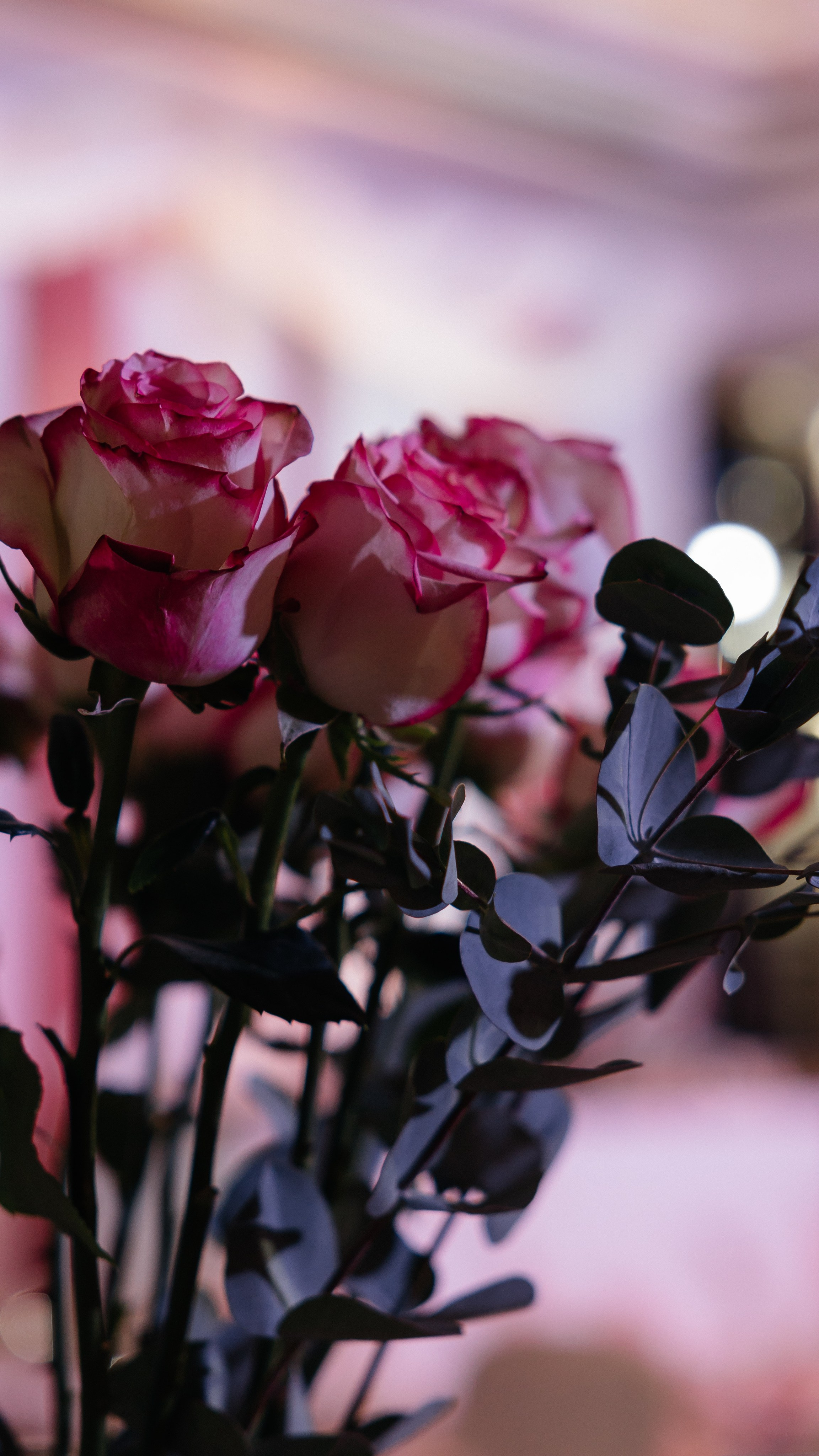 Alina Uzatu. Профессиональный фотограф в городе Астана/Алматы Даурен Сембаев