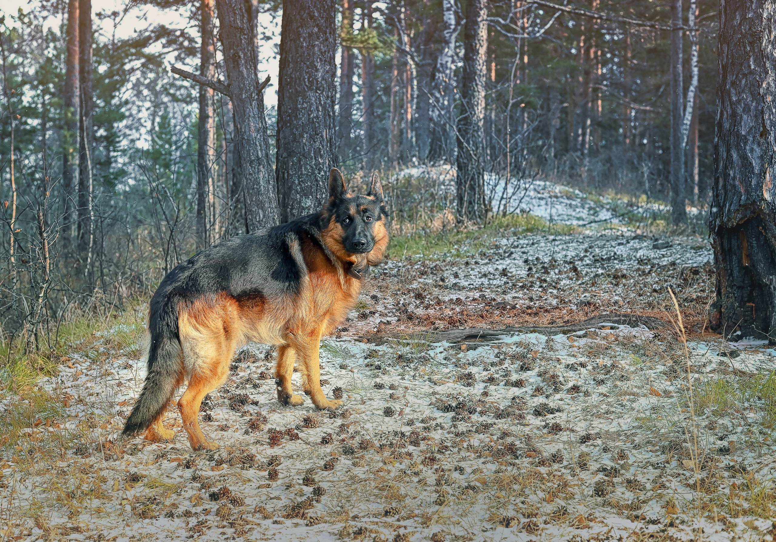 Ирина и Кантик. Фотографы крещения/венчания  Красноярск Татьяна и Вячеслав Переваловы