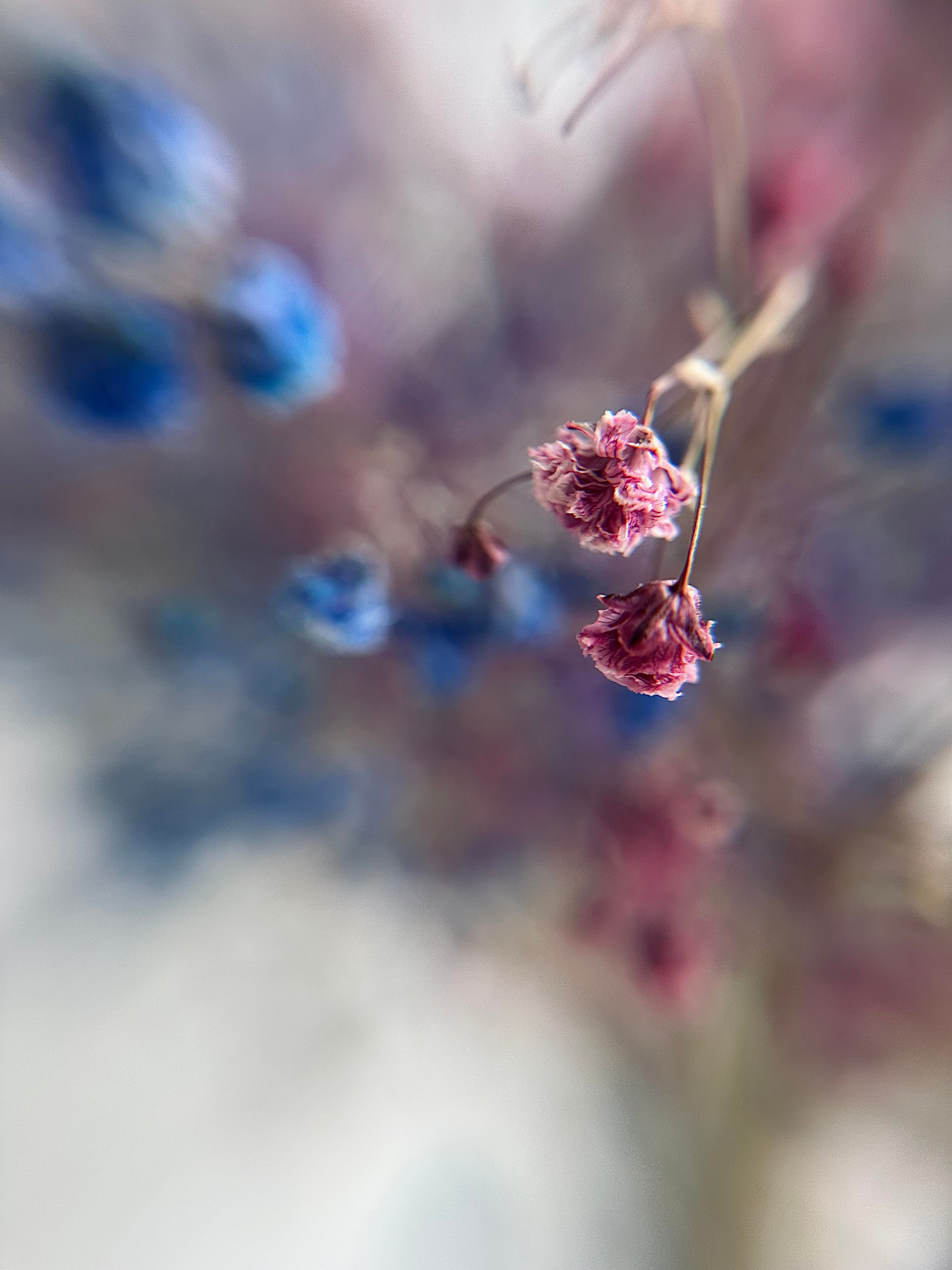 Мобильная фотография