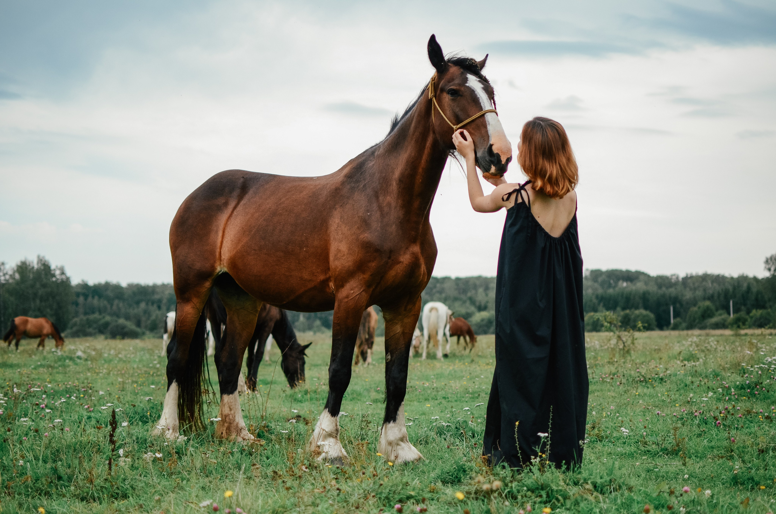 Наедине с природой. Семейный фотограф г. Москва