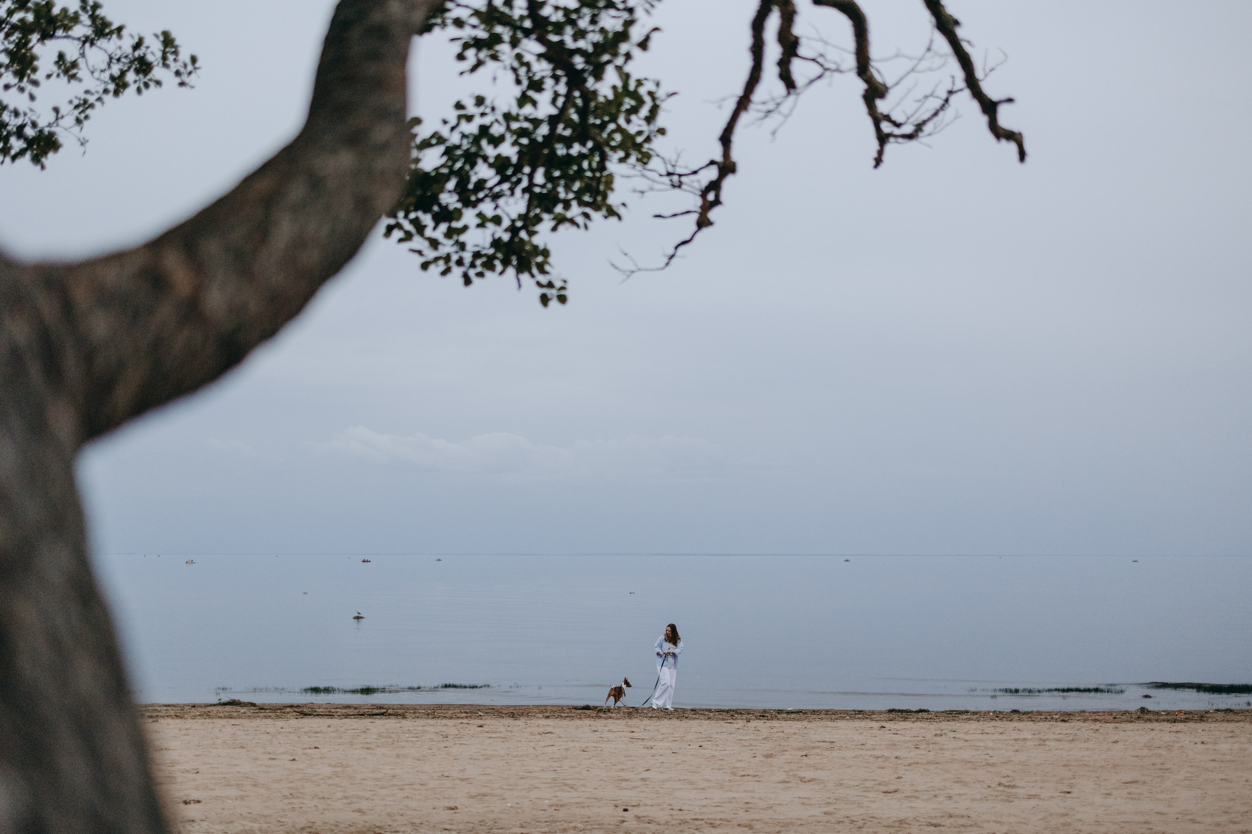 Даша и Арчи. Фотограф — Анималист | Санкт-Петербург