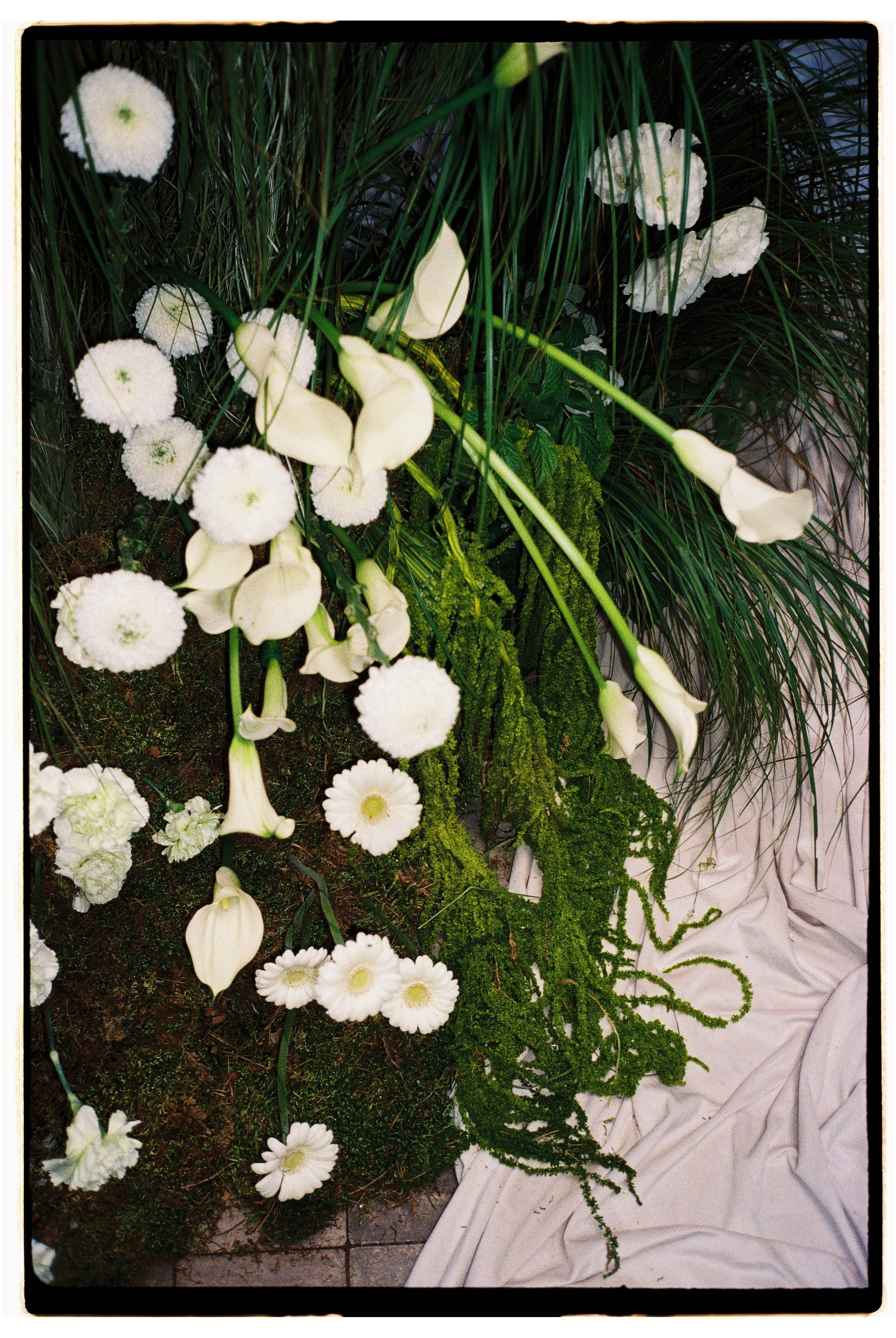 Плёнка. Свадебный фотограф Екатерина Садчикова