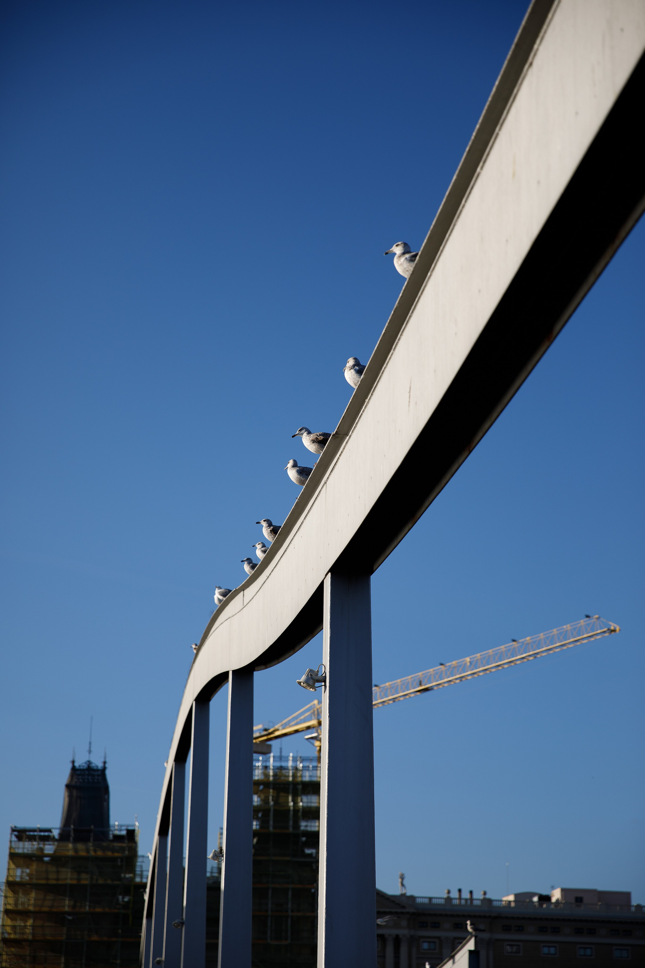 Барселона. Репортажный и портретный фотограф Русакова Жанна