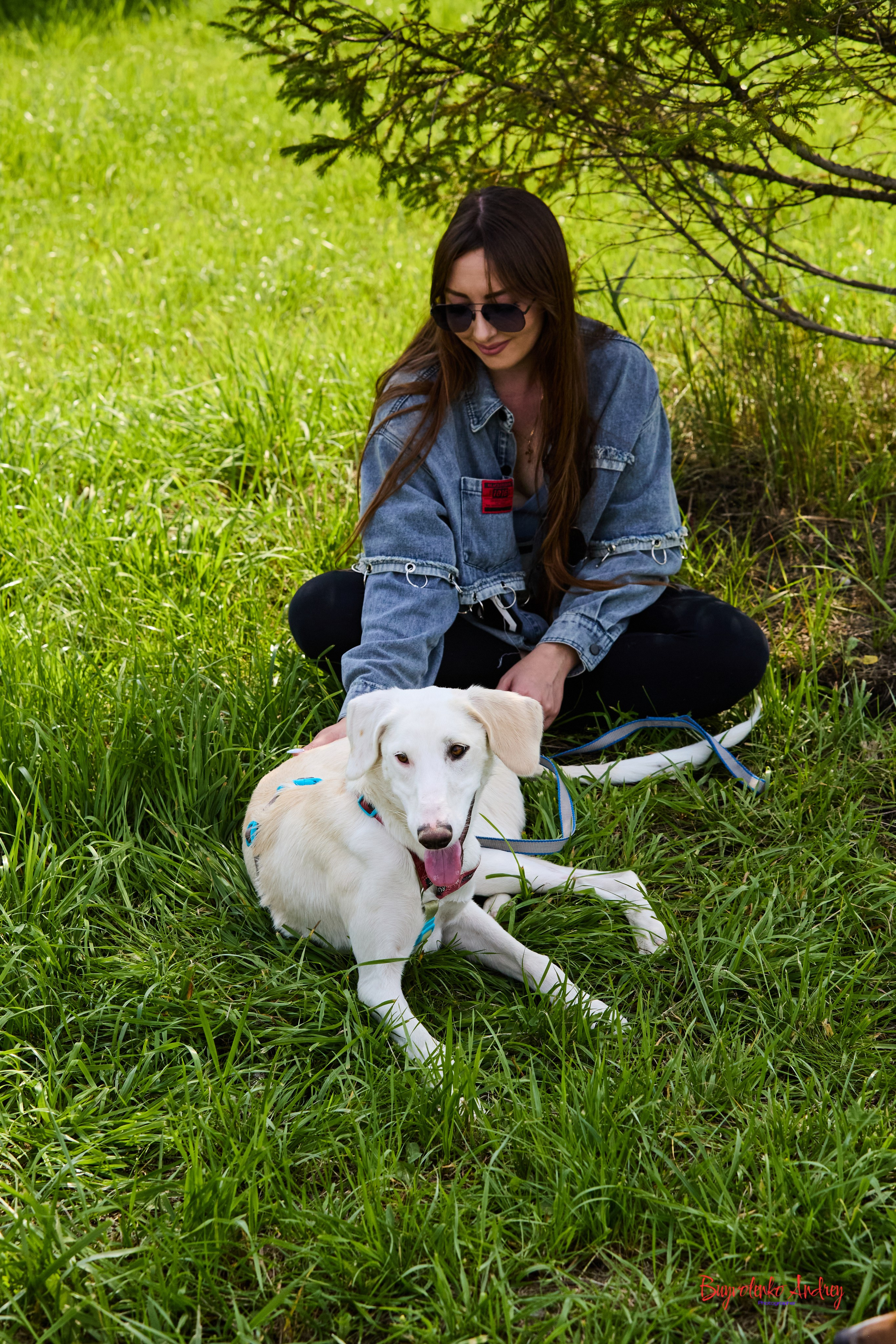 Проект фотопрогулка с хвостиком. Buyvolenko Andrey