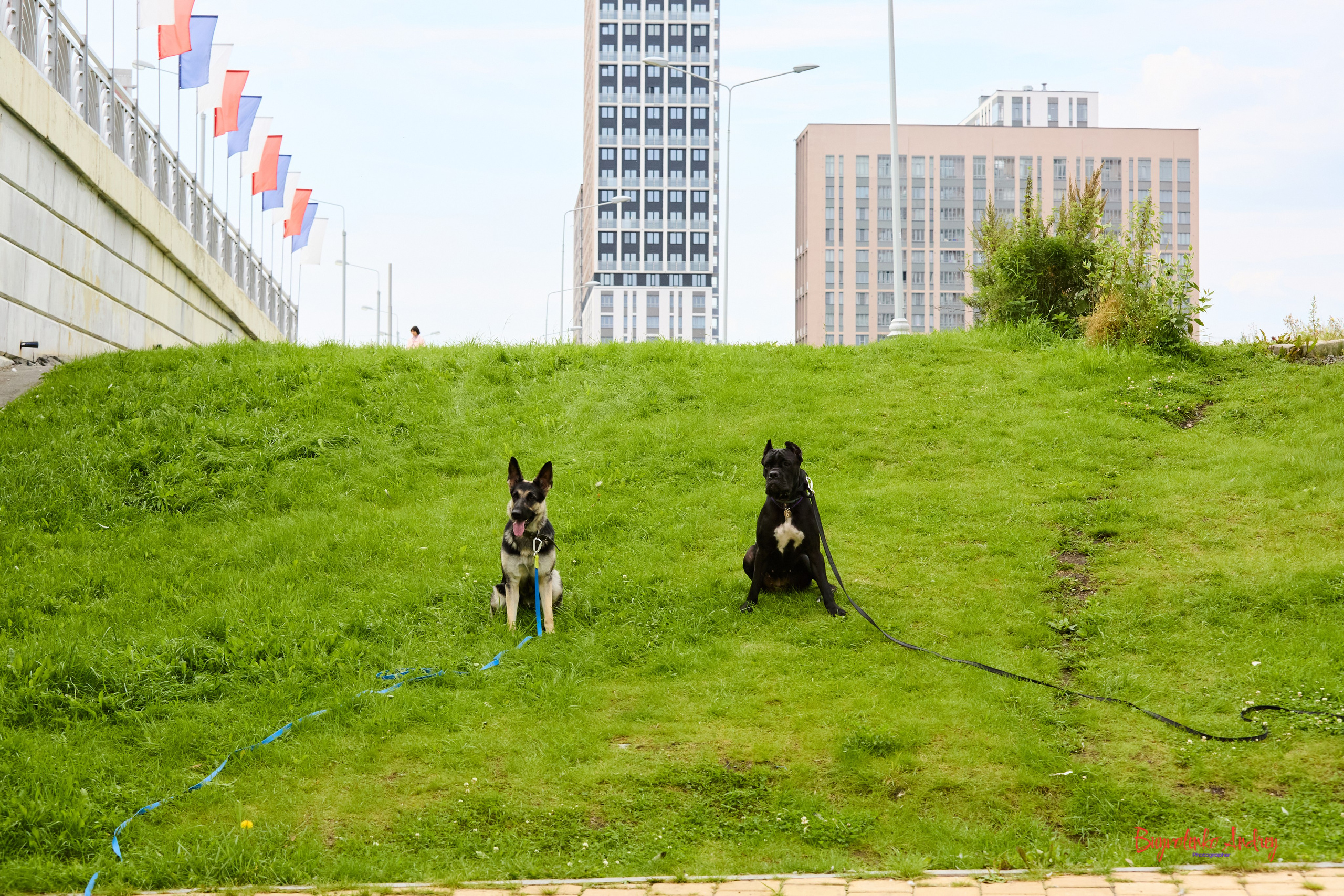 Проект фотопрогулка с хвостиком. Buyvolenko Andrey