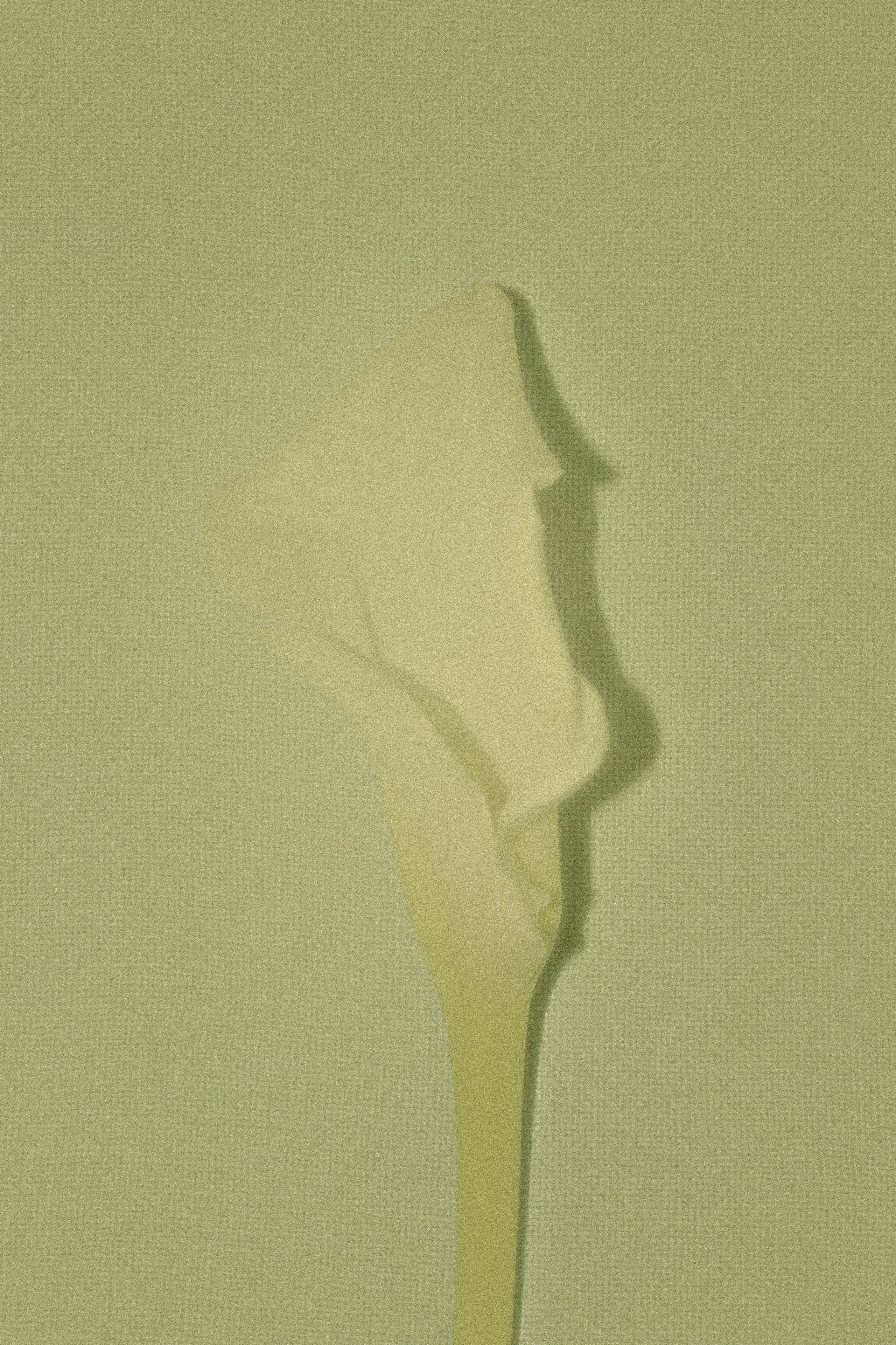 ПРИНТЫ. Виктория Князева| фотограф из Санкт-Петербурга