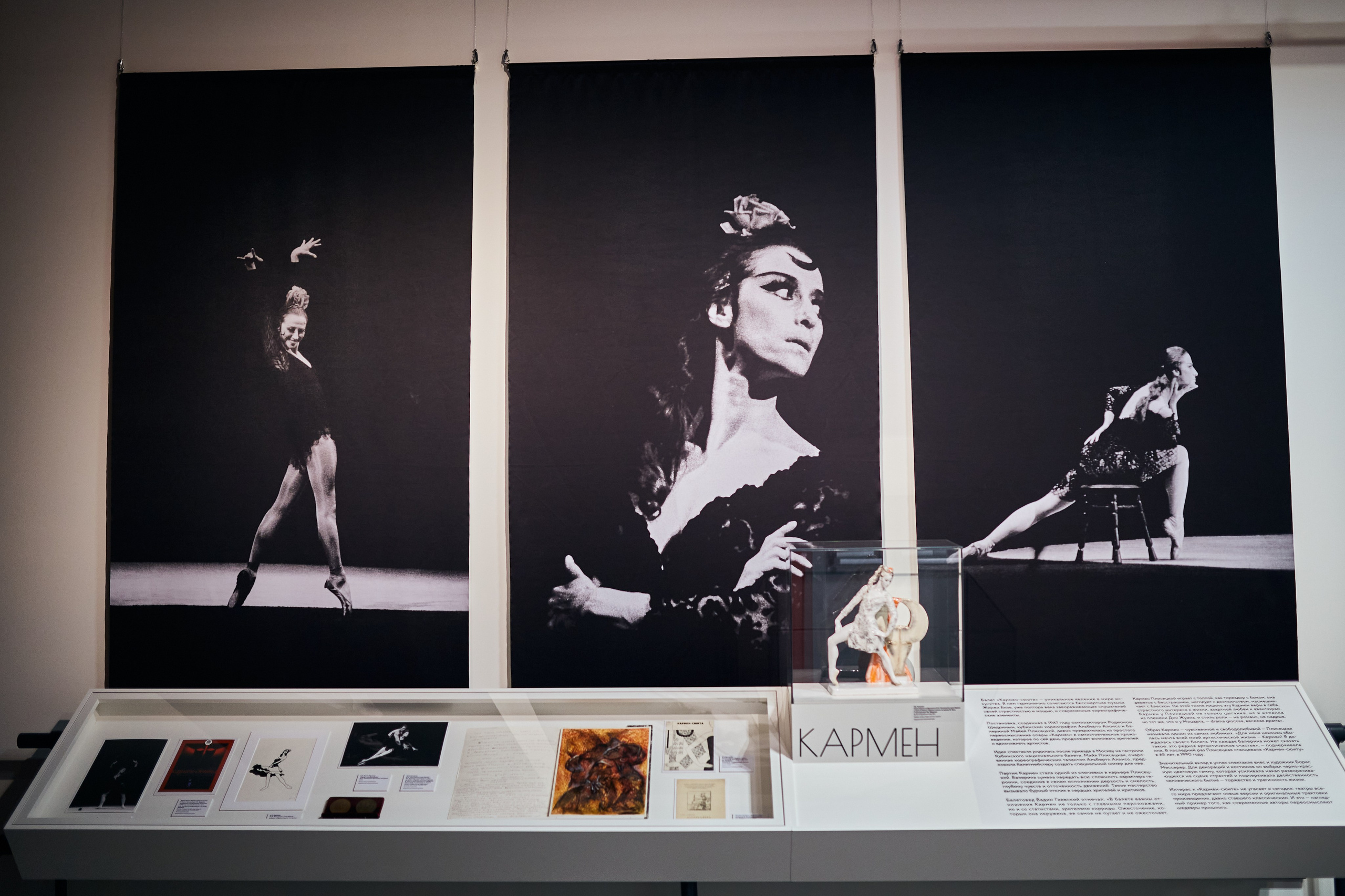 Выставка «Майя Плисецкая. Полюс магии». Даниил Гузиенко — репортажный фотограф в Туле