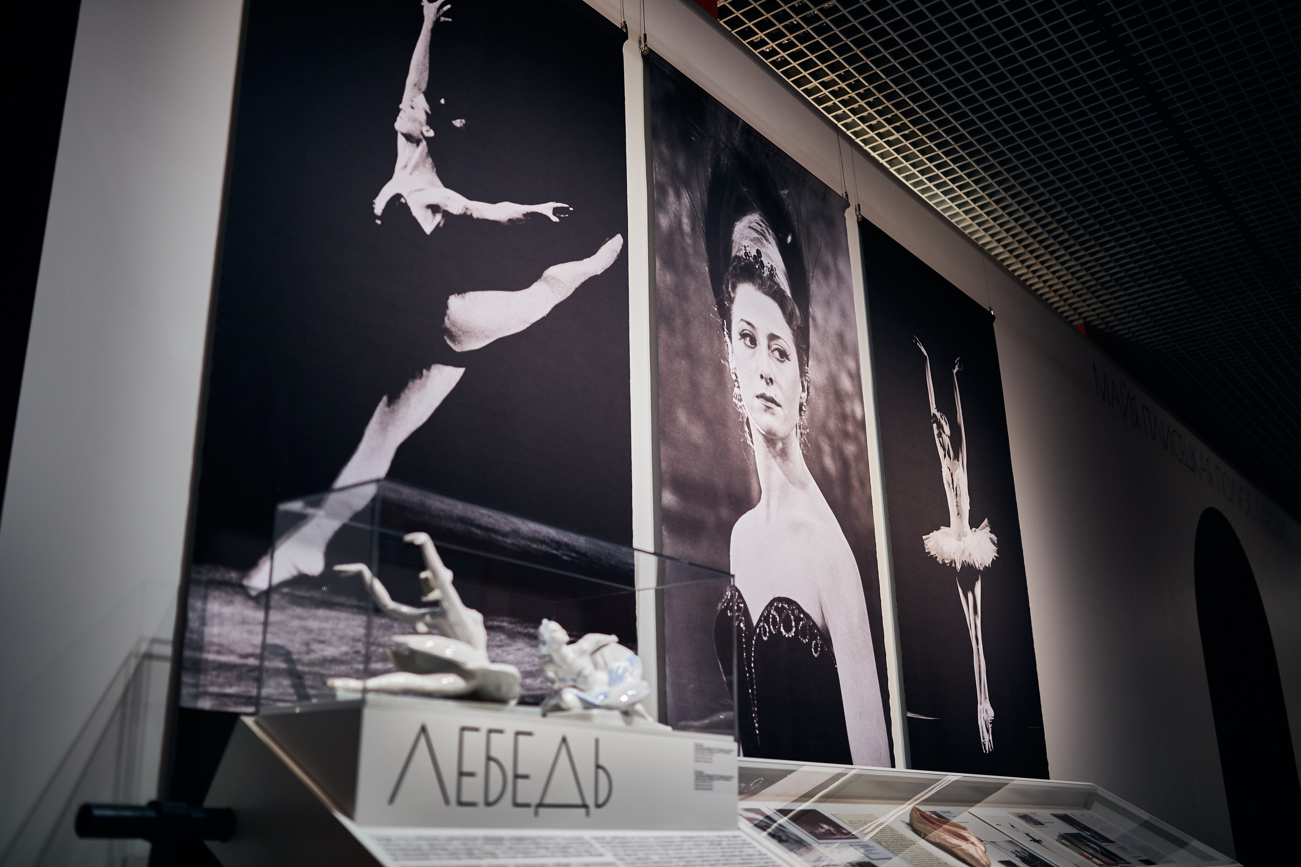 Выставка «Майя Плисецкая. Полюс магии». Даниил Гузиенко — репортажный фотограф в Туле