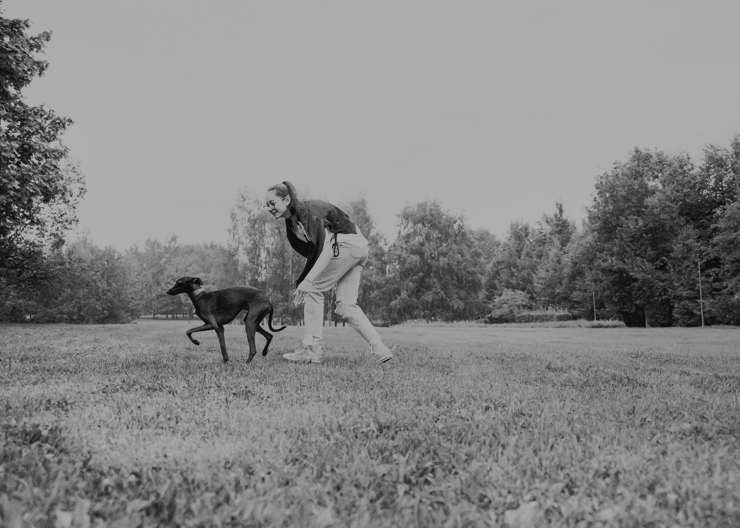 Дофи. Фотограф- анималист Александра Матвеева