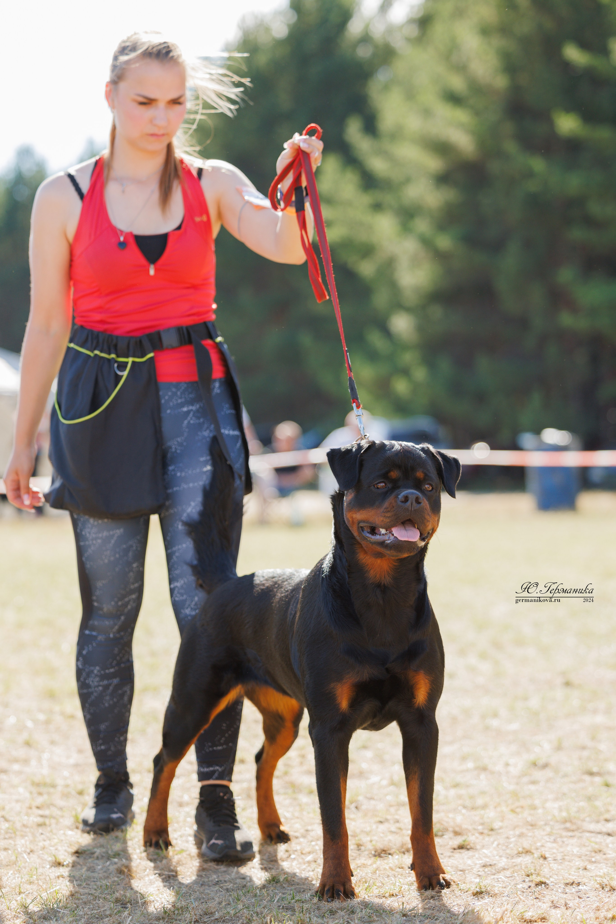 ПК и КЧК ротвейлеры Тверь 6-7.07.2024. Фотограф-анималист Юлия Германика