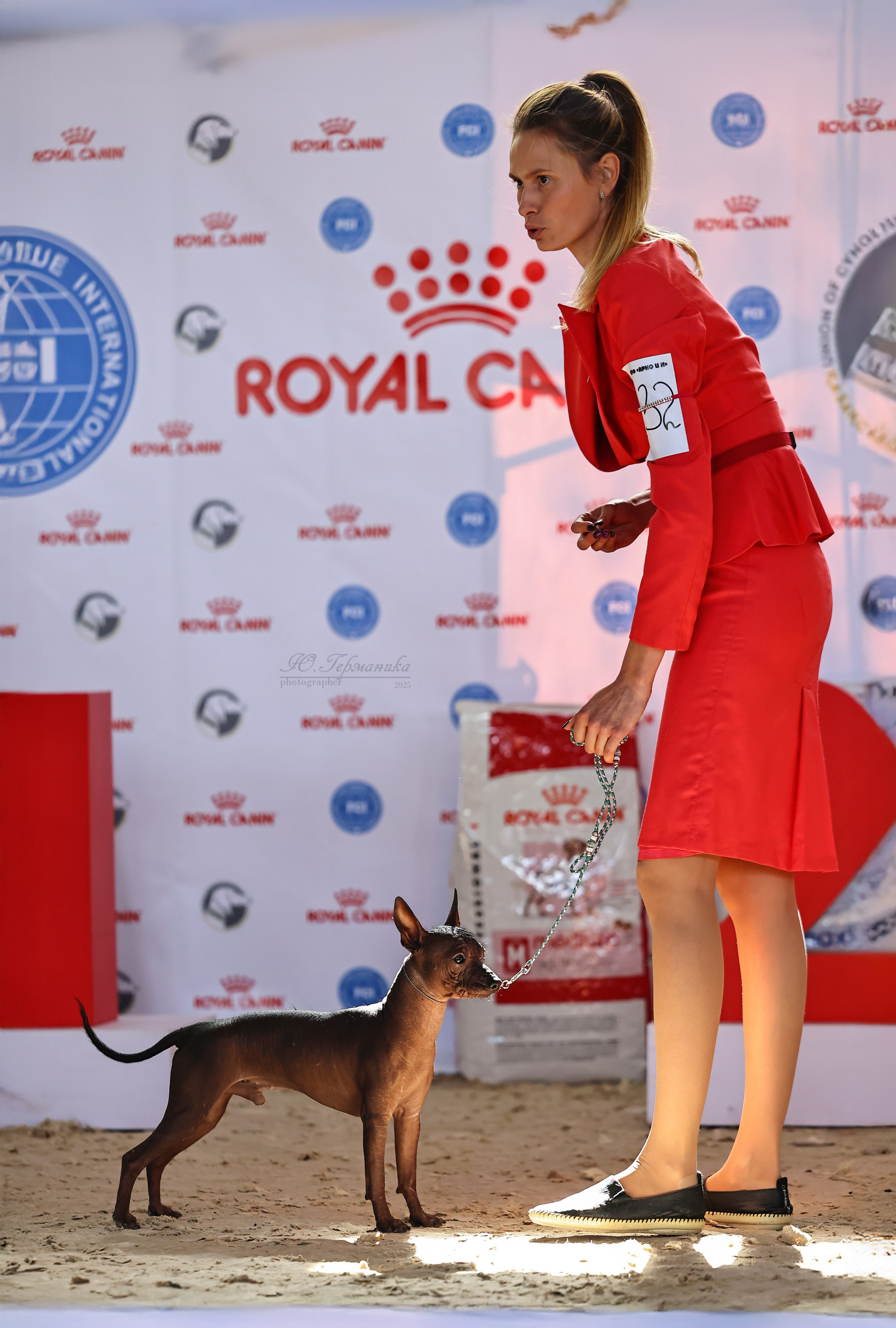 Астана 2хCACIB 26-28.09.2025. Фотограф-анималист Юлия Германика