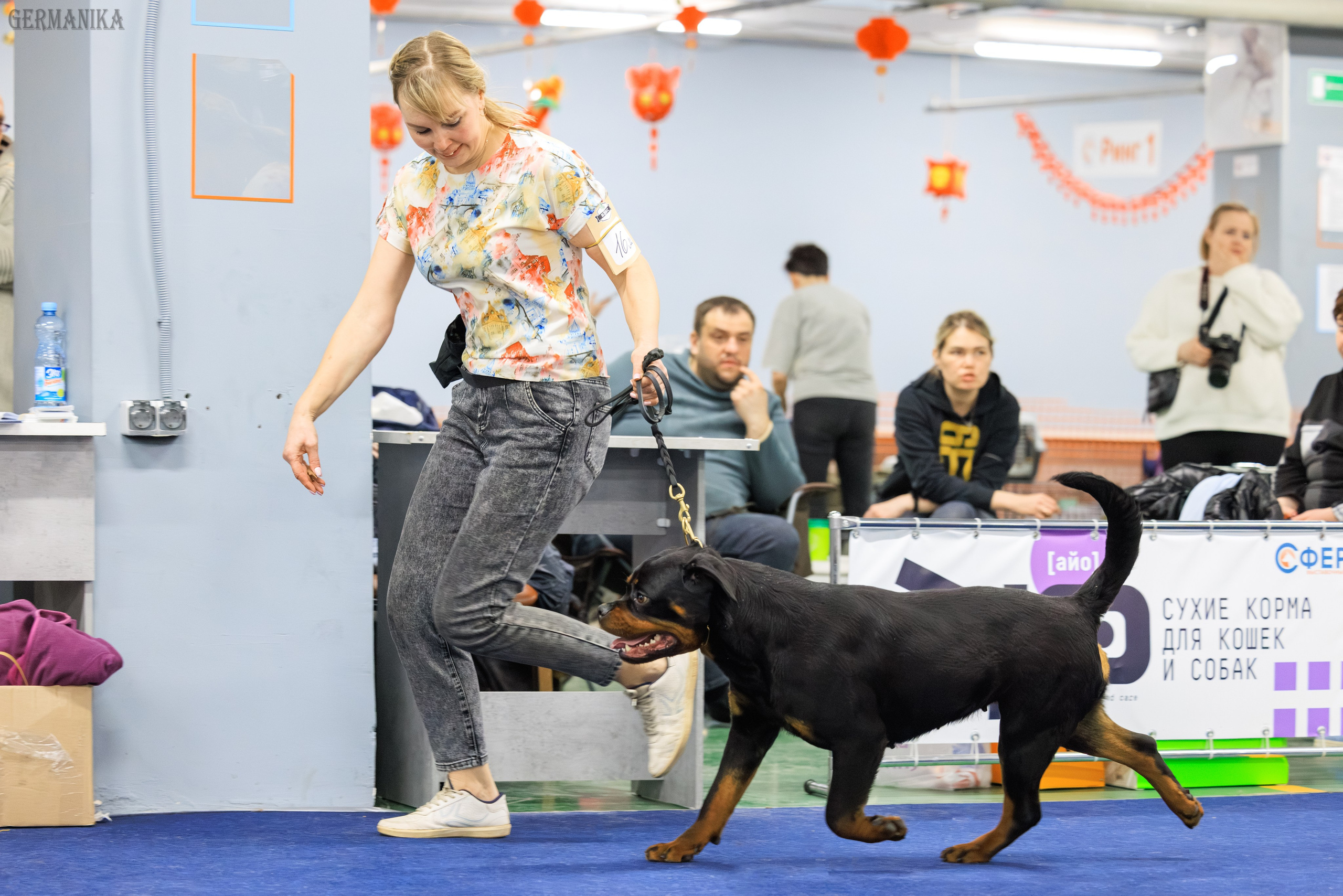 Сфера 08 и 10.03.2024 2хмоно ротвейлеров+2хмоно сао. Фотограф-анималист Юлия Германика