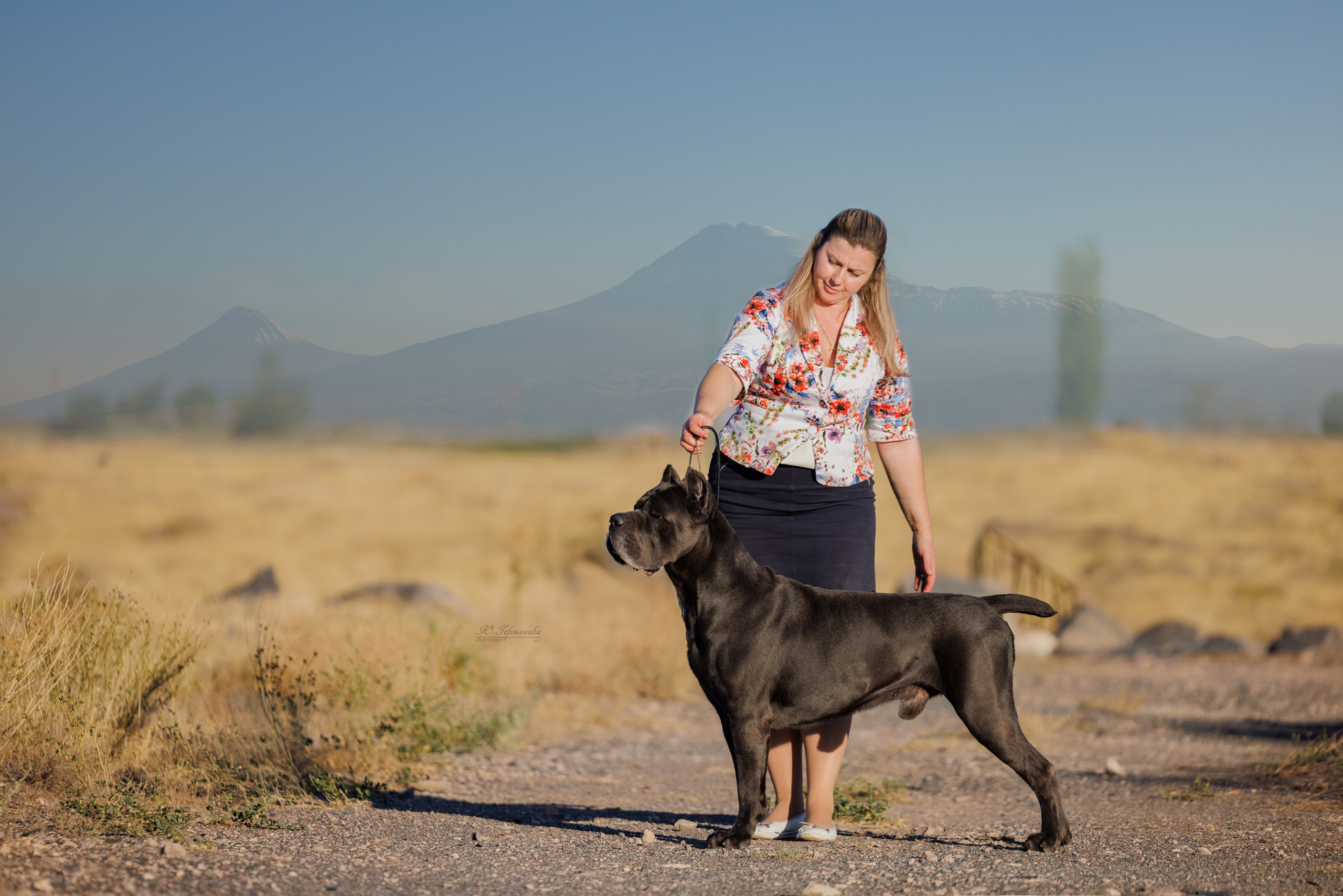 Ереван 14-16.10.2025. Фотограф-анималист Юлия Германика