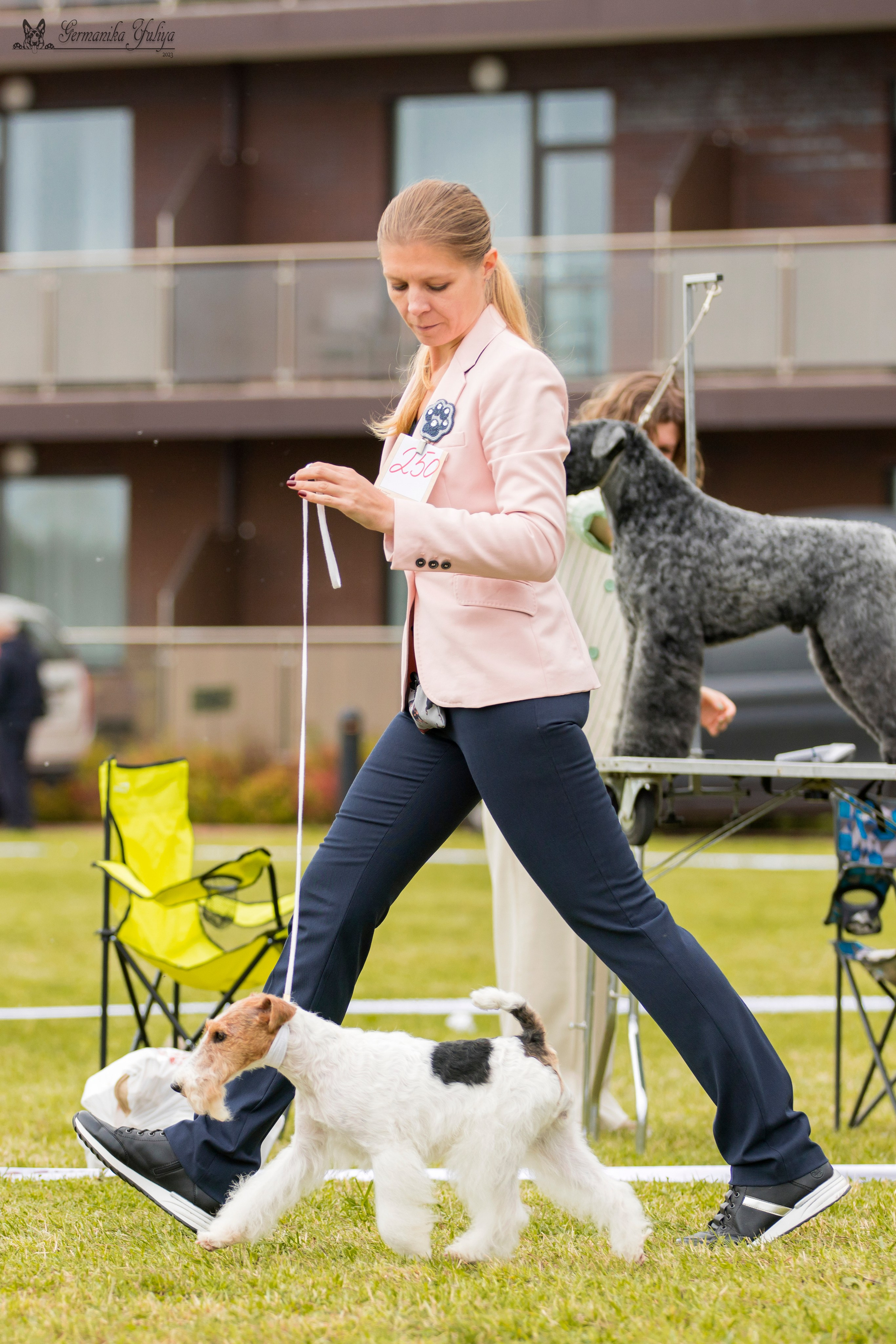 Переславль 9-10.09.2023. Фотограф-анималист Юлия Германика