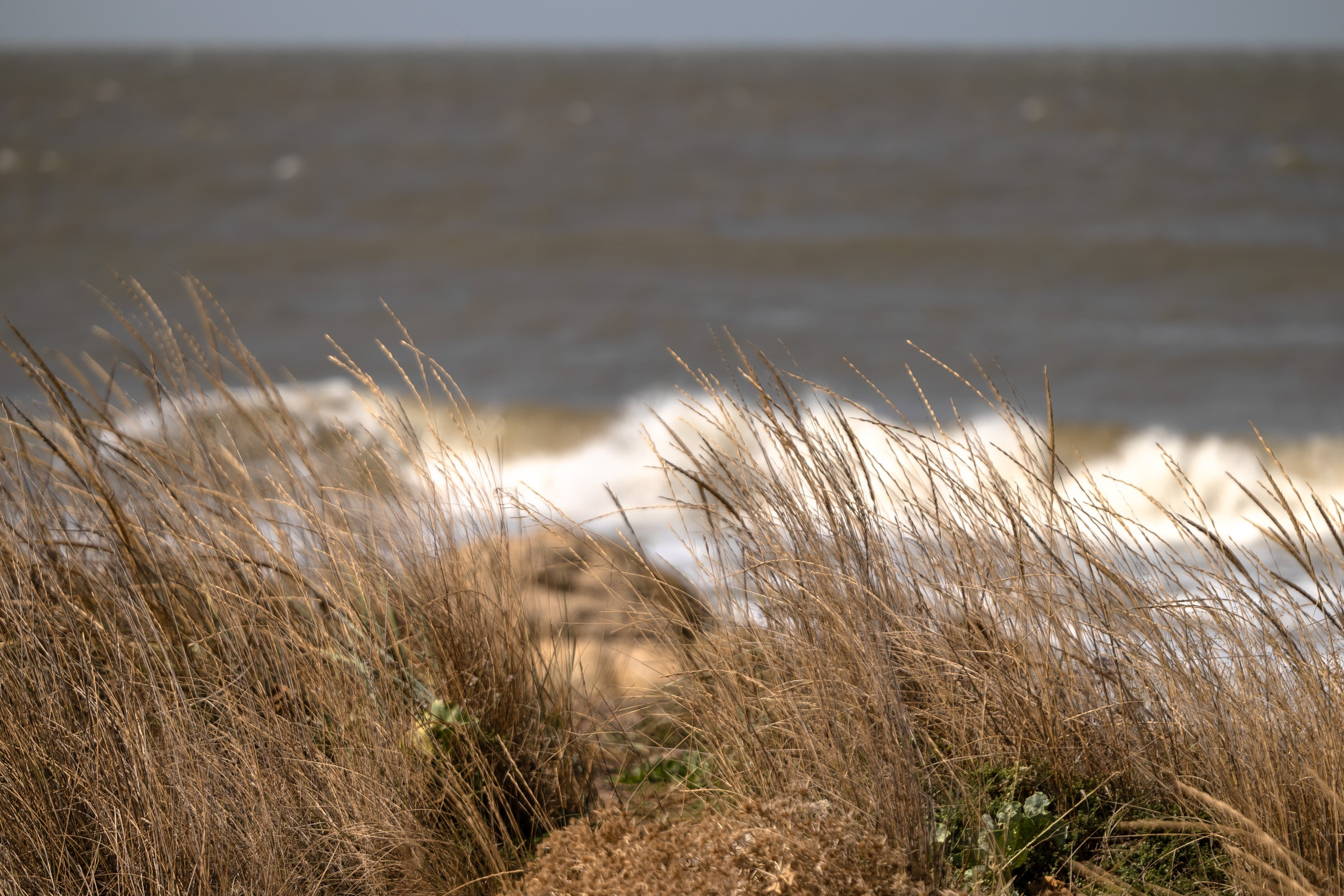 Азовское море. Фотограф Владимир Охрименко