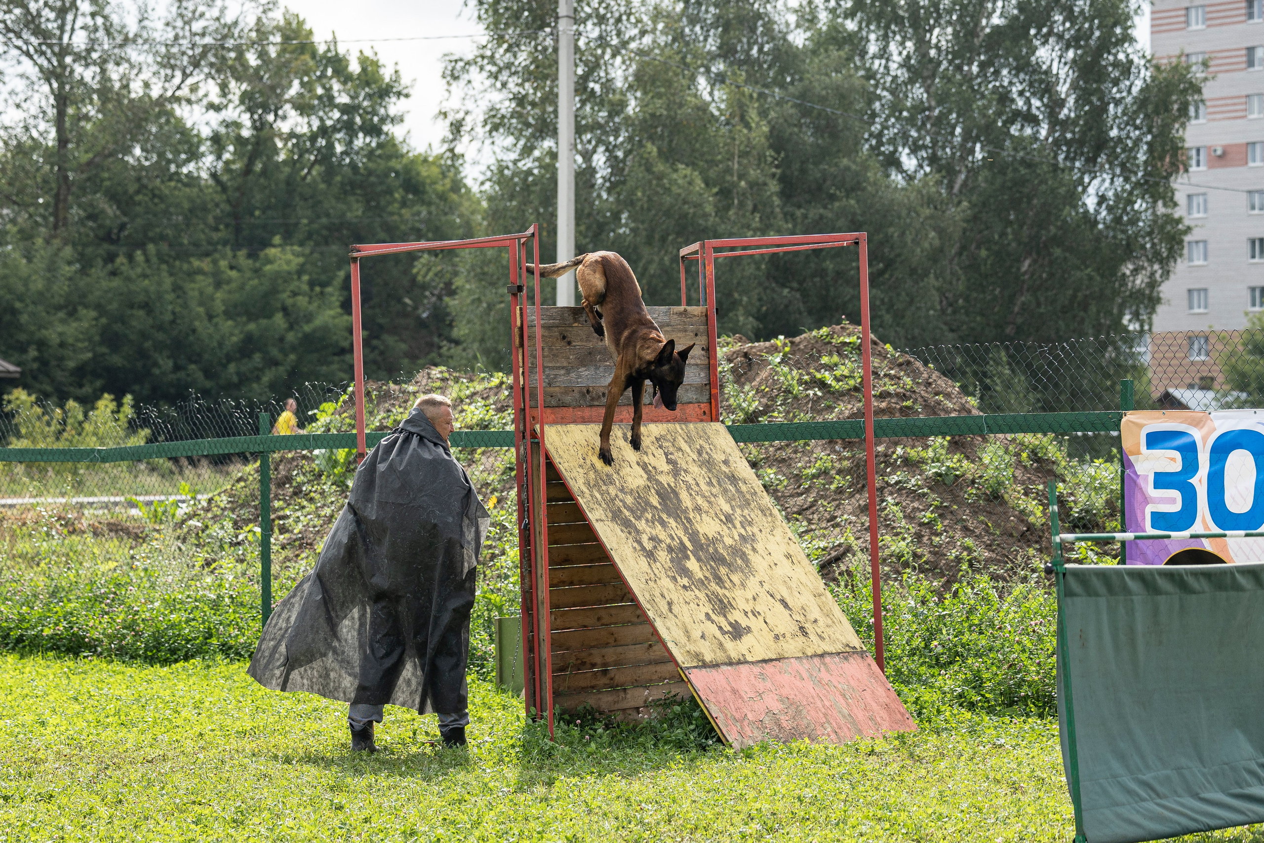 Соревнования по Мондьорингу г. Вологда 10-11.08.2024. Фотограф-анималист Анна Маринич