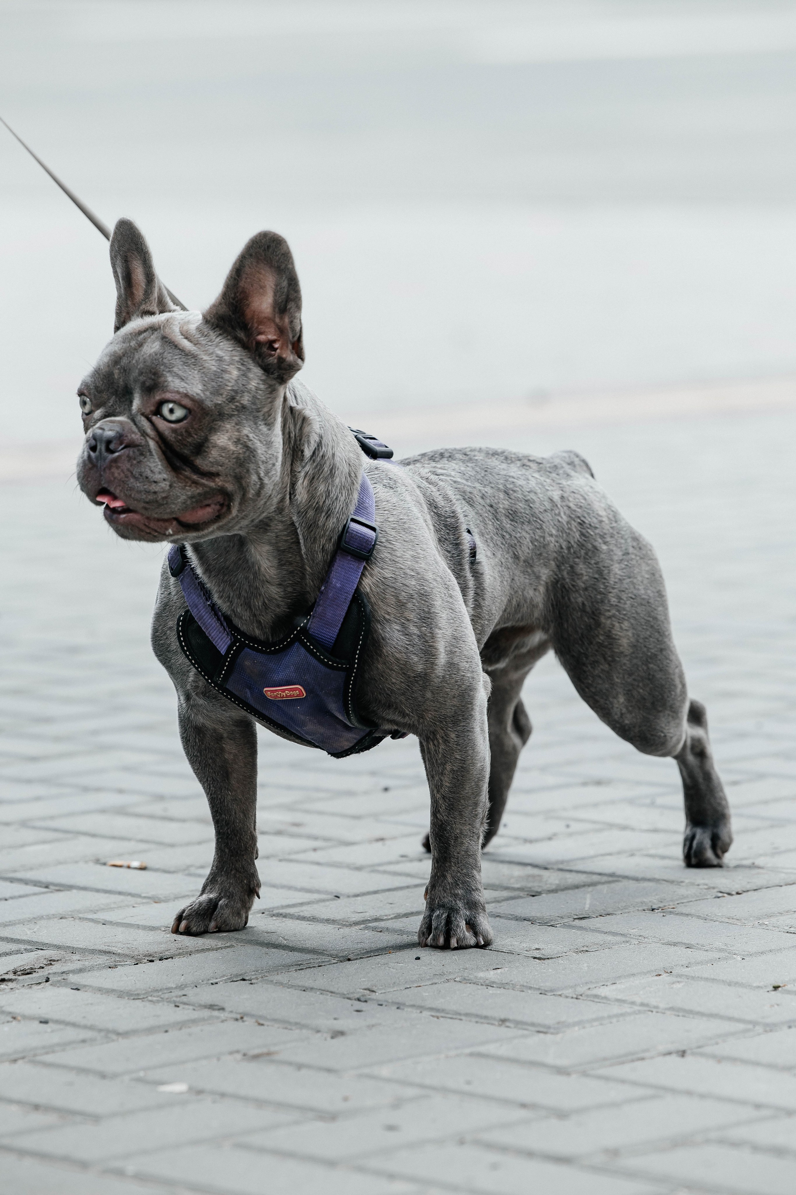 09.06.2024. _Carpe diem_