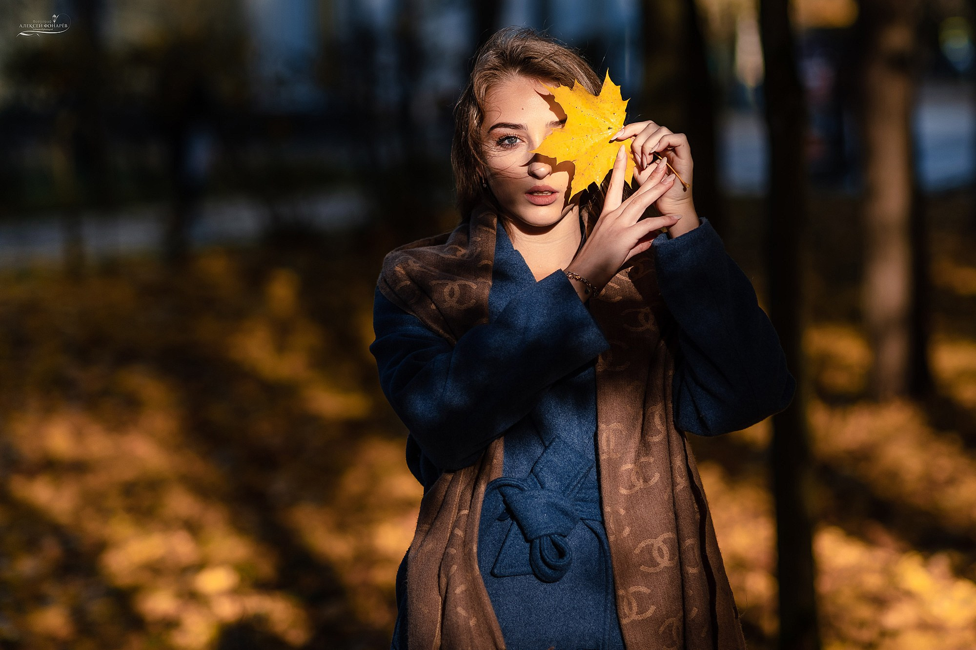 ОСенний взгляд