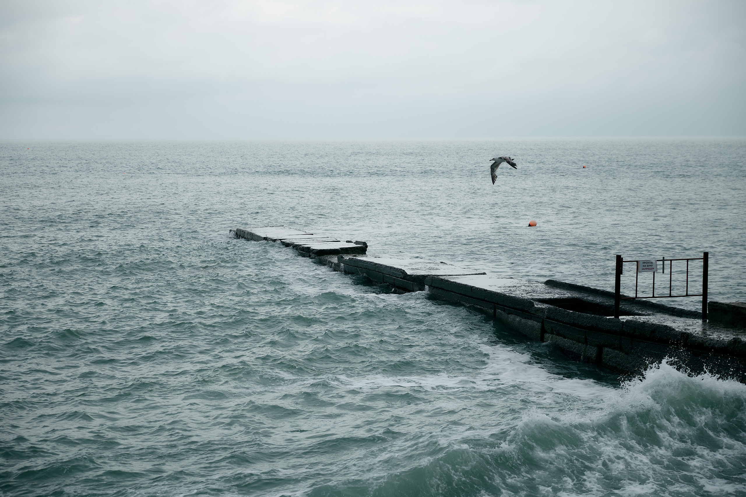 Сочи. Анастасия. Профессиональный фотограф Светлана Писарева