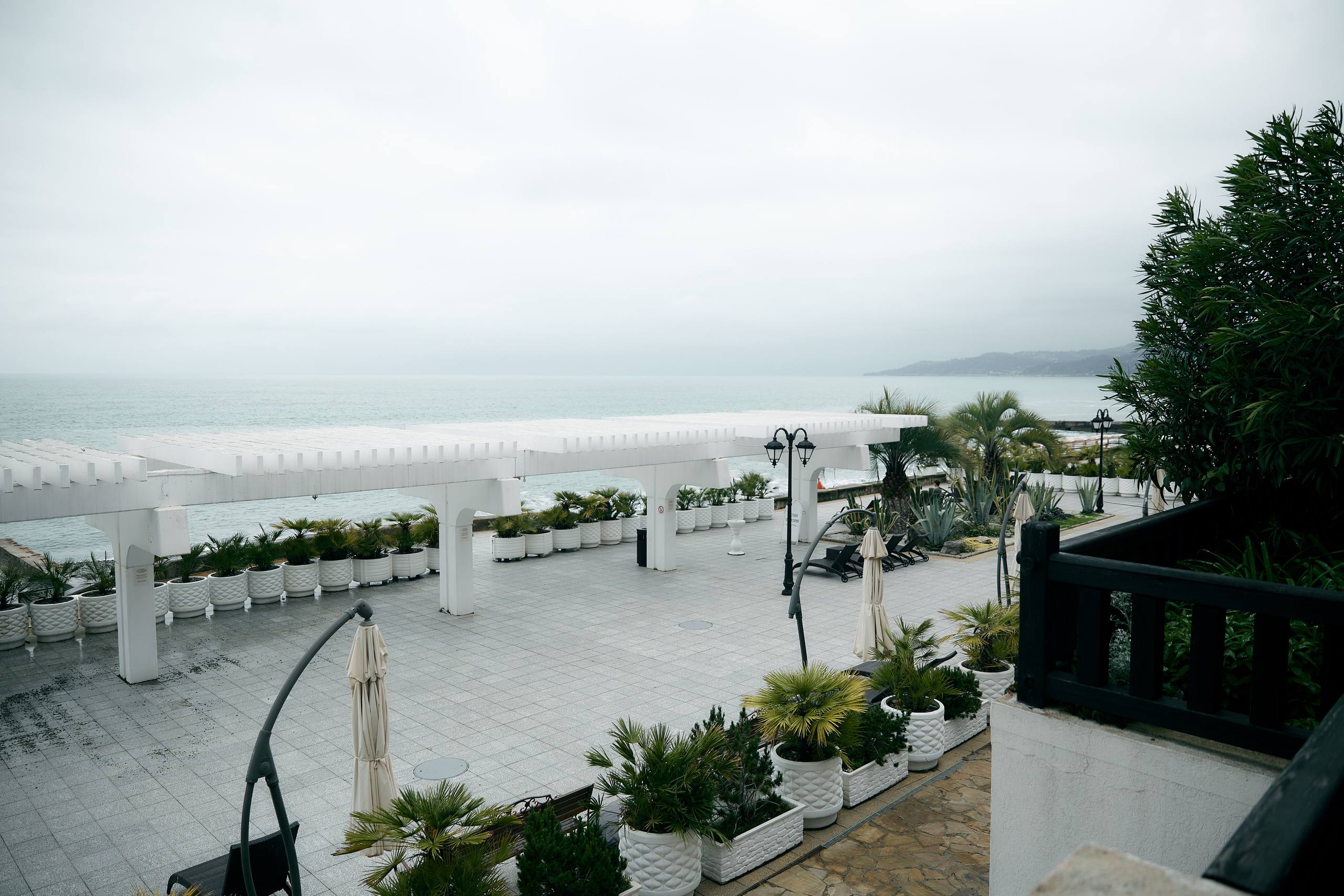 Сочи. Анастасия. Профессиональный фотограф Светлана Писарева