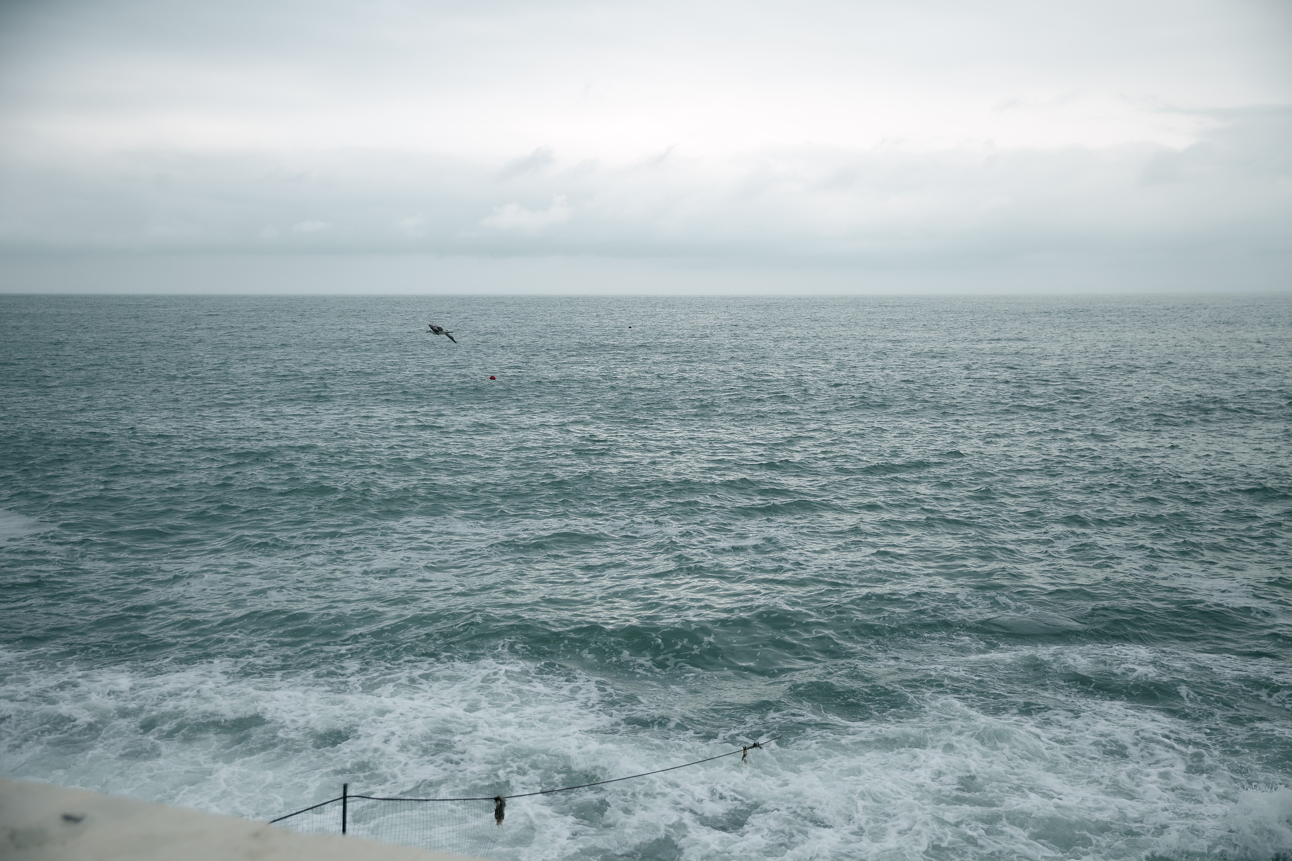 Сочи. Анастасия. Профессиональный фотограф Светлана Писарева