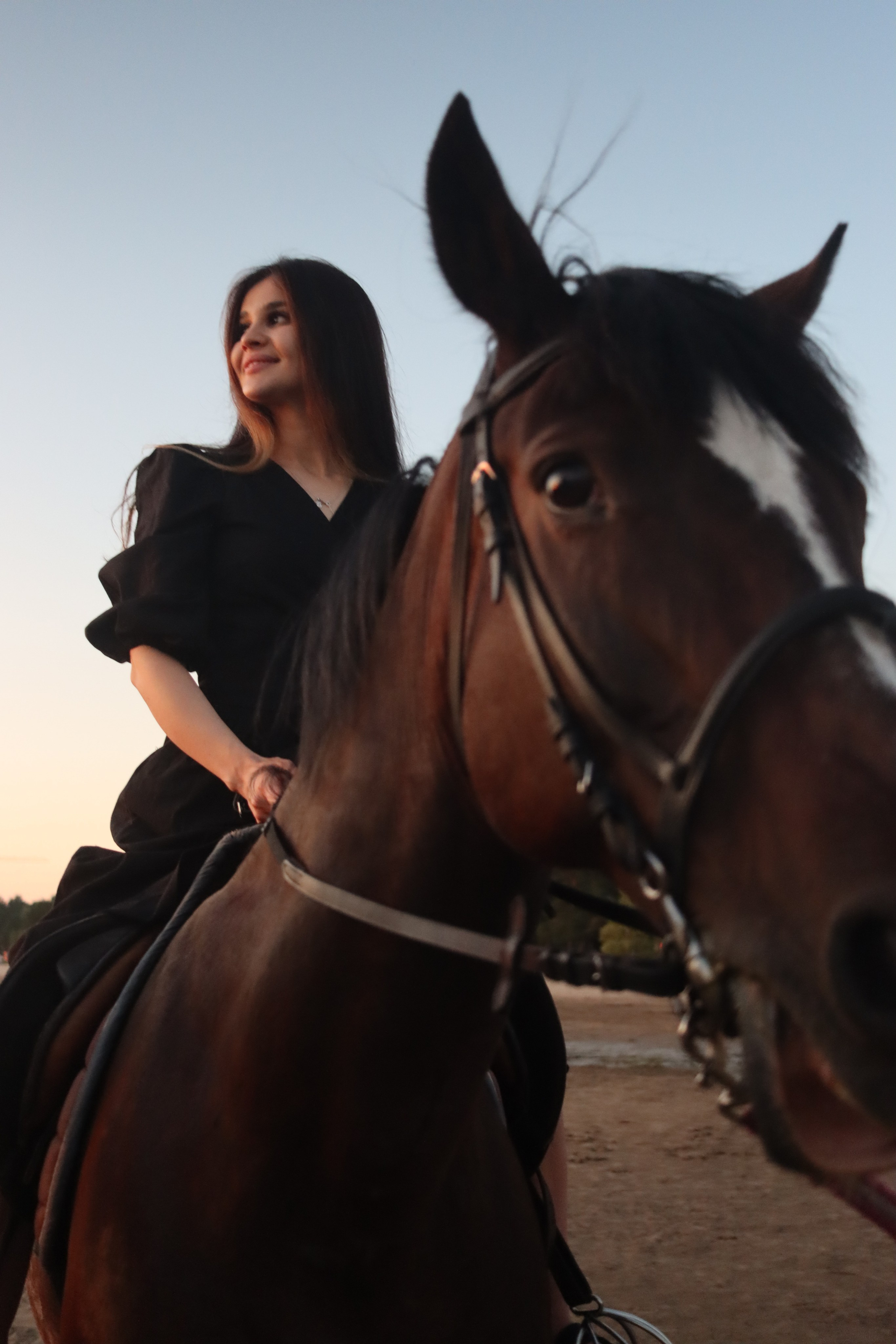 Love story с лошадьми