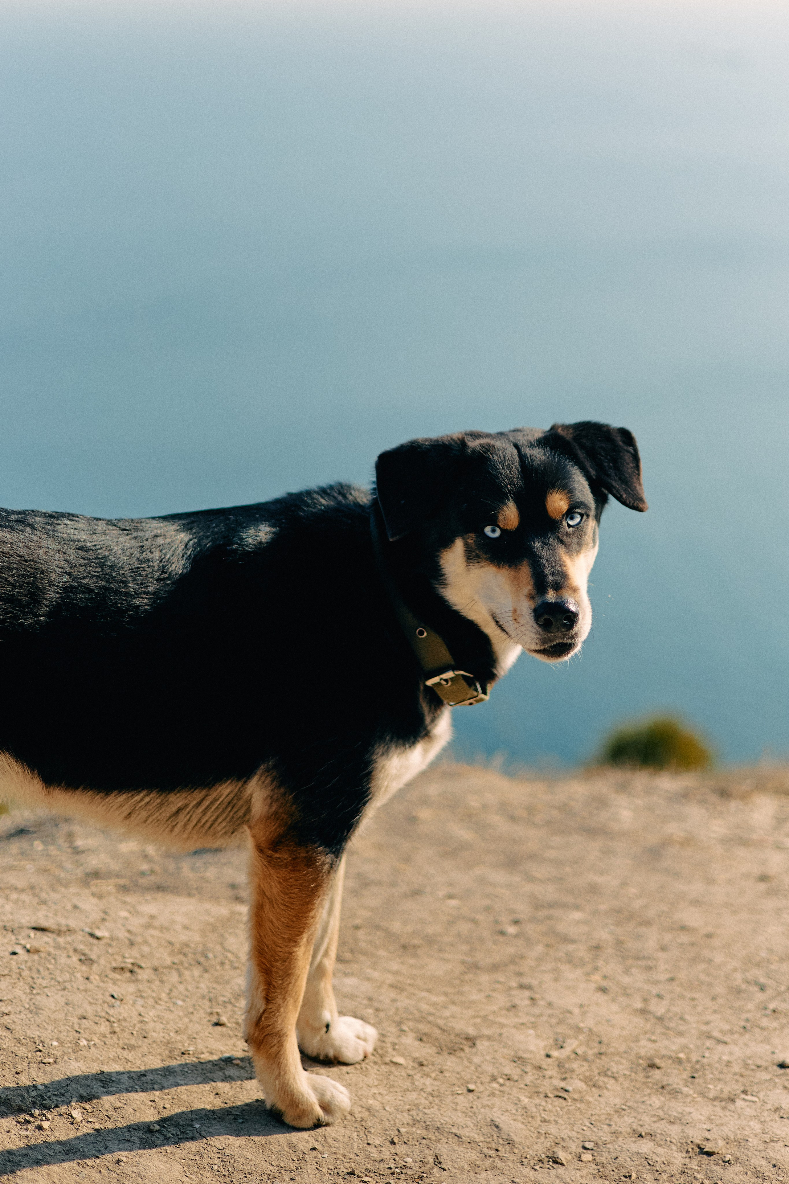 Юг России. Профессиональный Фотограф во Владимире, в Москве и в Суздале — Полина Романычева