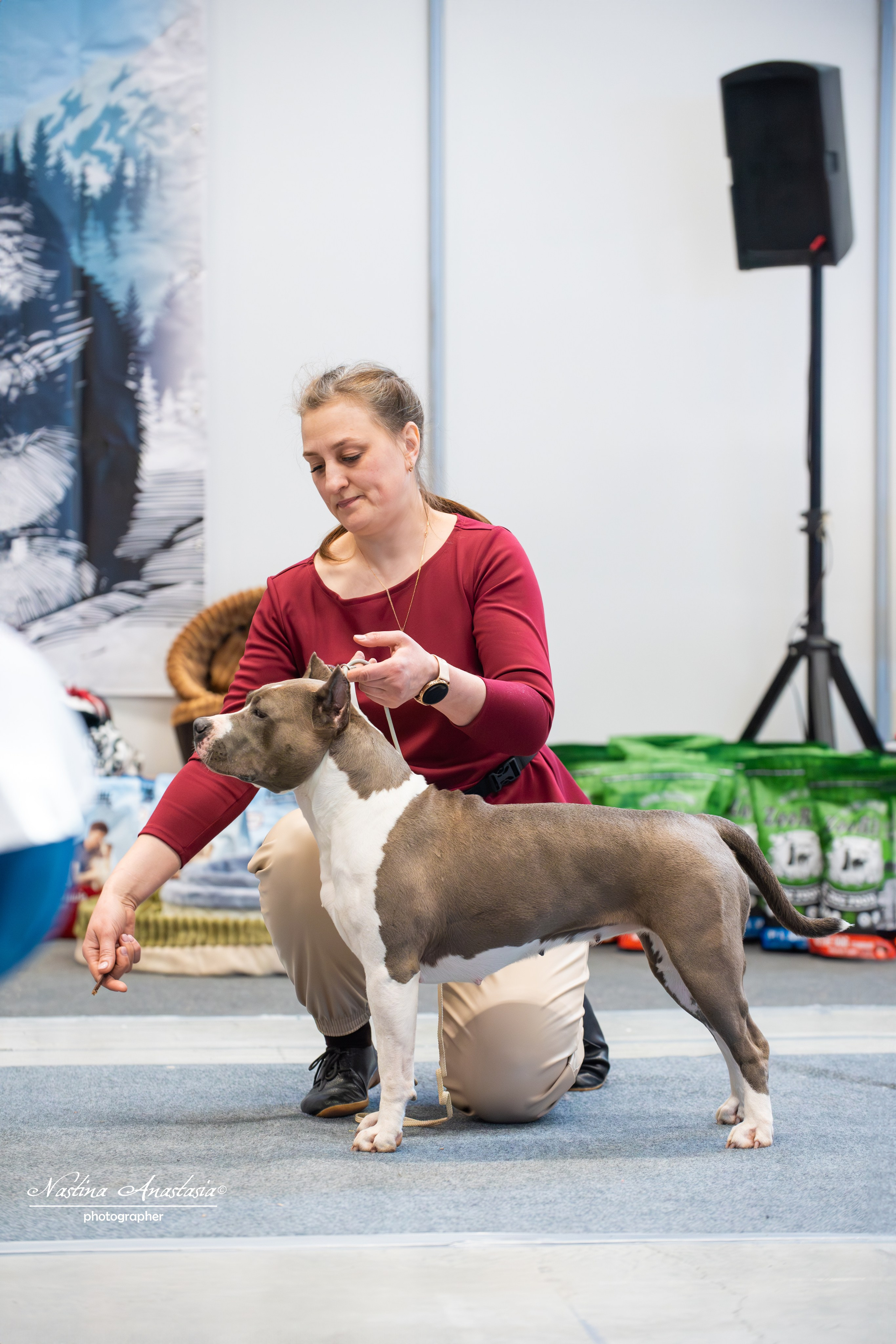 Выставки. Фотограф — Анималист