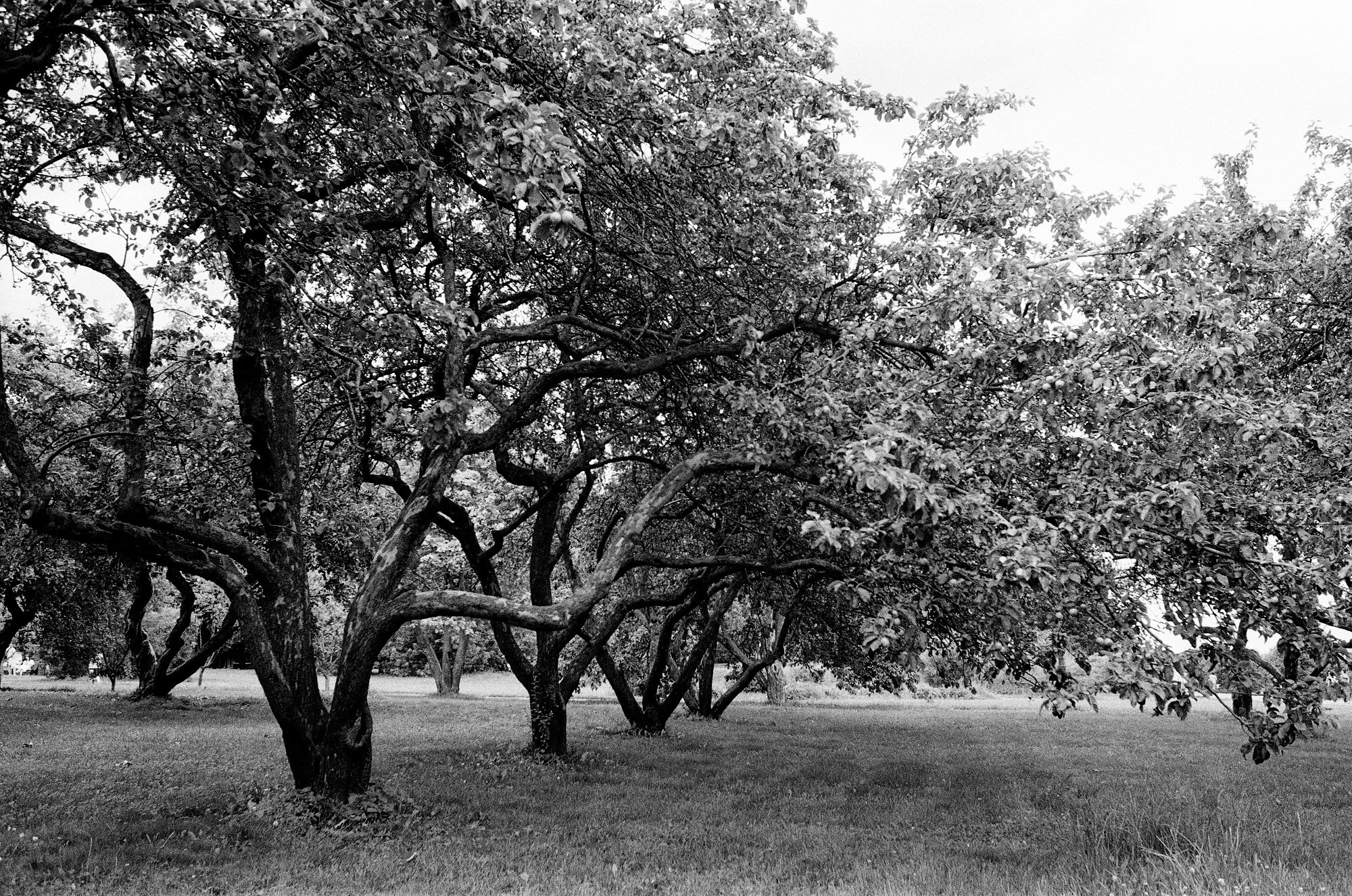 Природа. Другой Павел Поцелуев. Фотограф в 2025 году