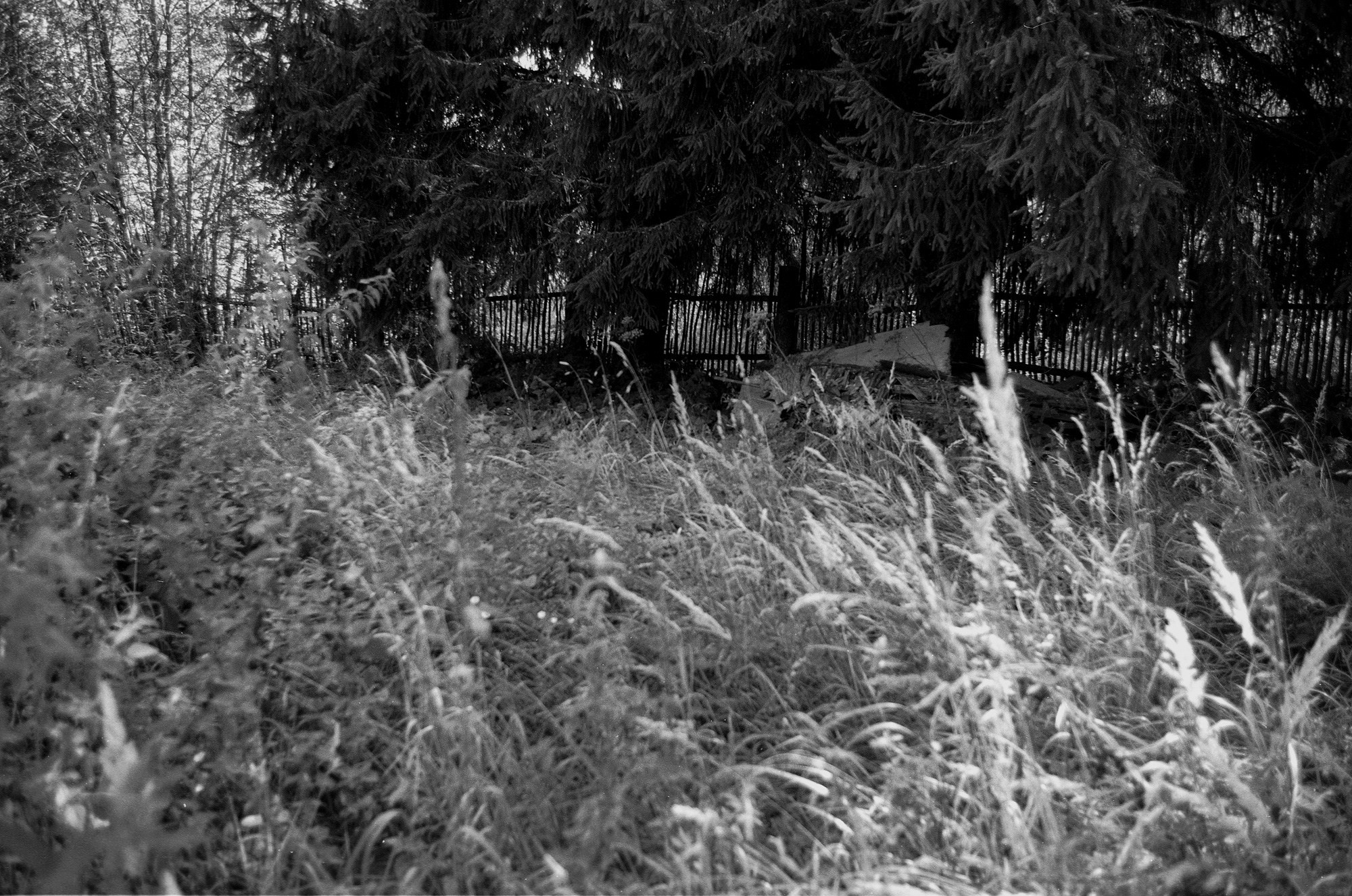 Природа. Другой Павел Поцелуев. Фотограф в 2025 году