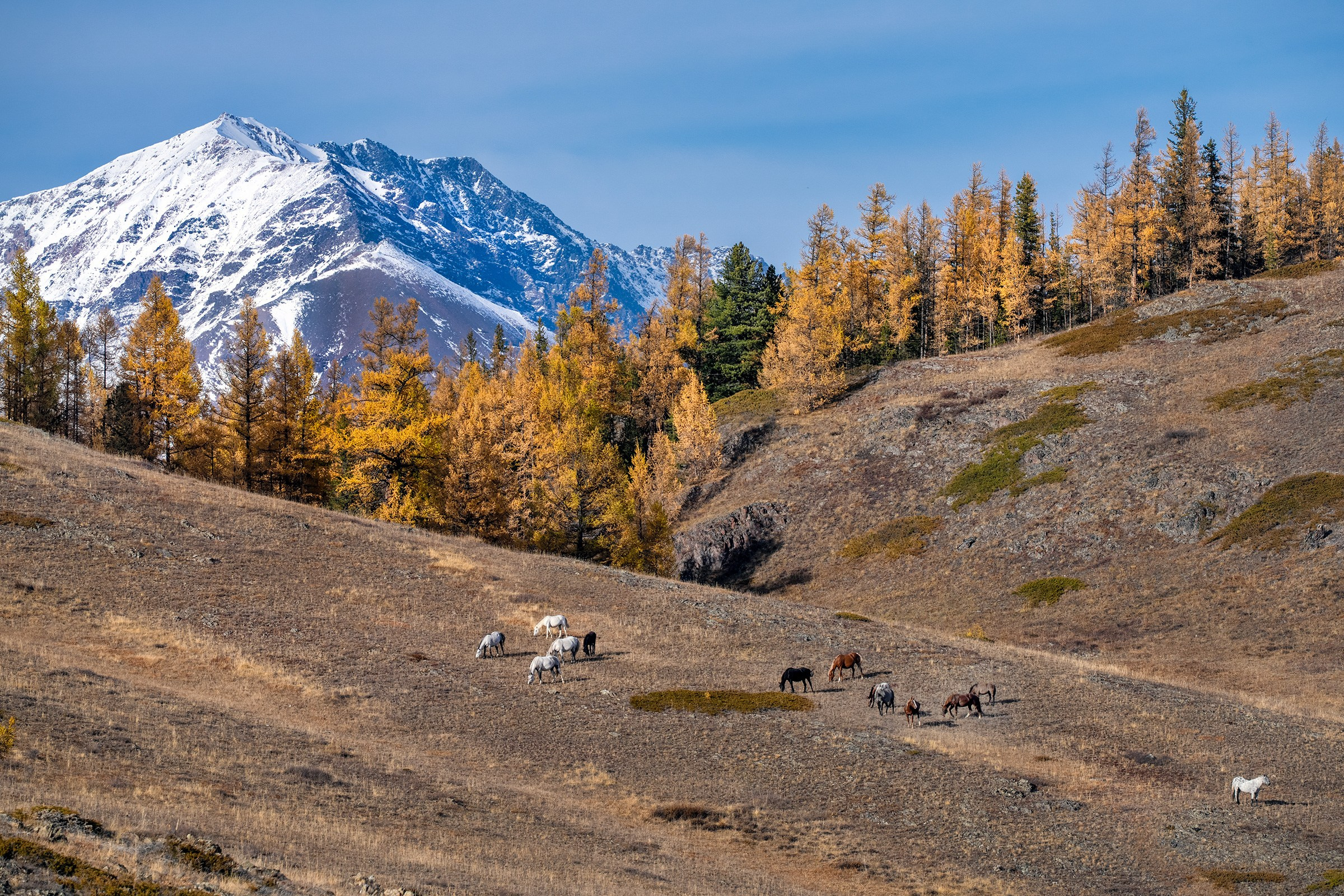 Алтай. Фотограф Владимир Остапенко