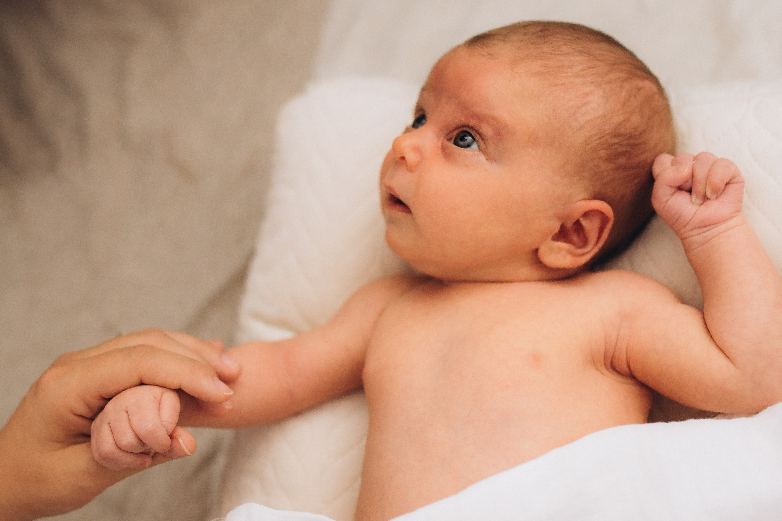 Séance newborn Sasha. Photographe des familles et enfants à Nantes et alentours