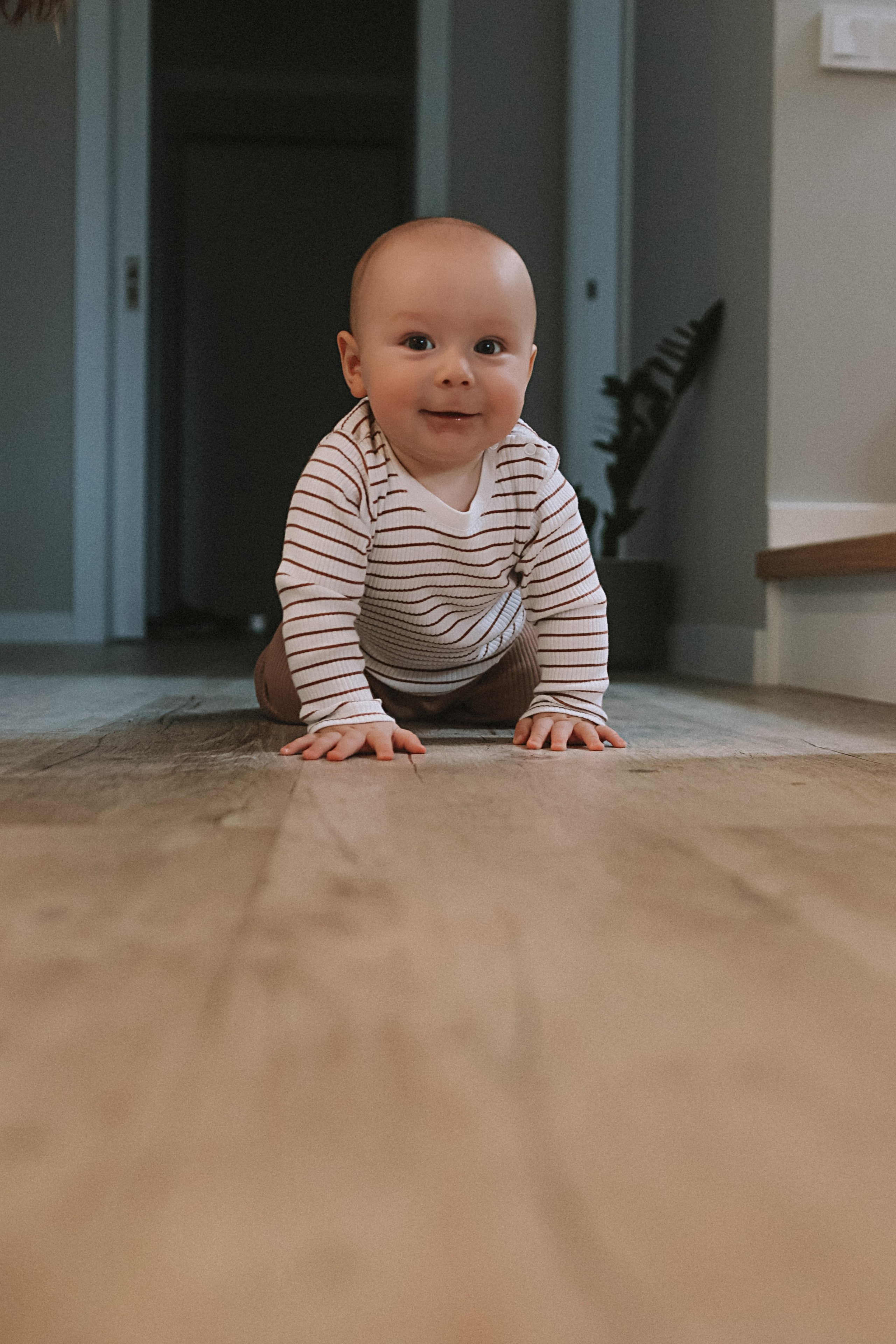 Мише 8 месяцев. Семейный фотограф Тюмень, фотограф на роды Салмина Мария