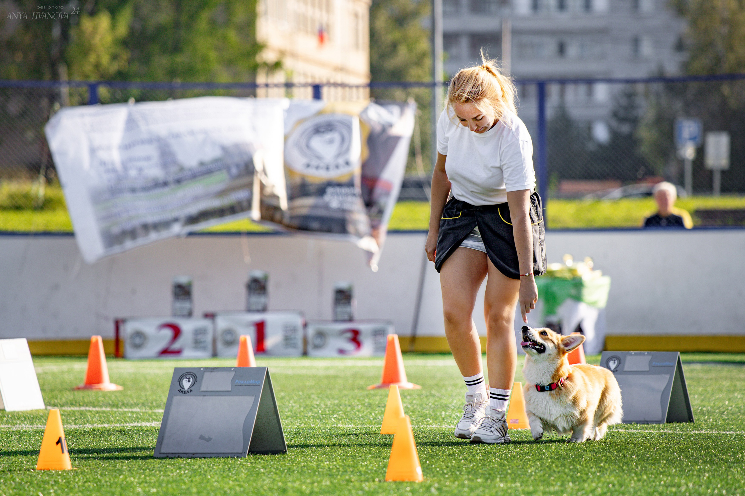Ралли обидиенс. Фотограф анималист Аня Ливанова | Рыбинск