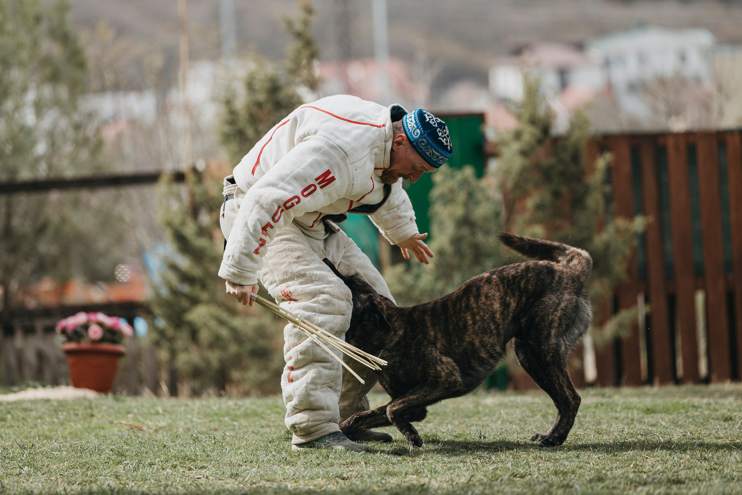 Геленджик Мондьоринг. Фотограф-анималист Анна Маринич