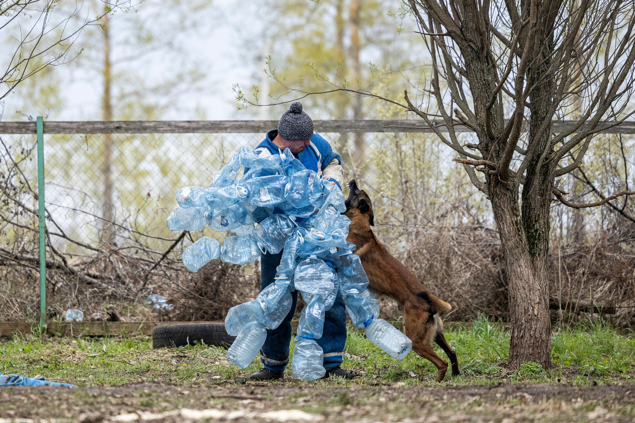 Квалификационные состязания по мондьорингу г. Вологда 11.05.24. Фотограф-анималист Анна Маринич