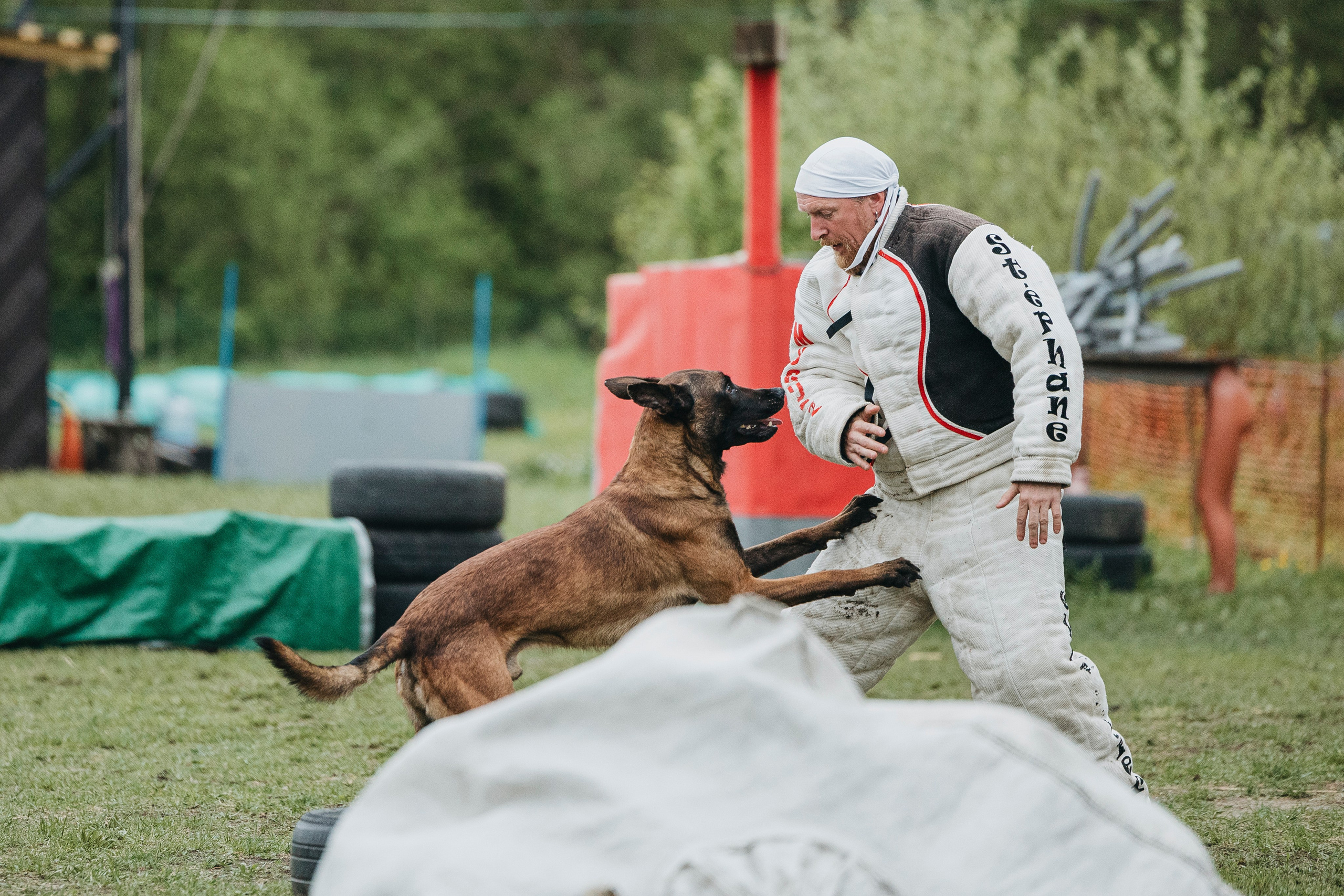 26.05.25 г. Пушкин квалификационные соревнования. Фотограф-анималист Анна Маринич