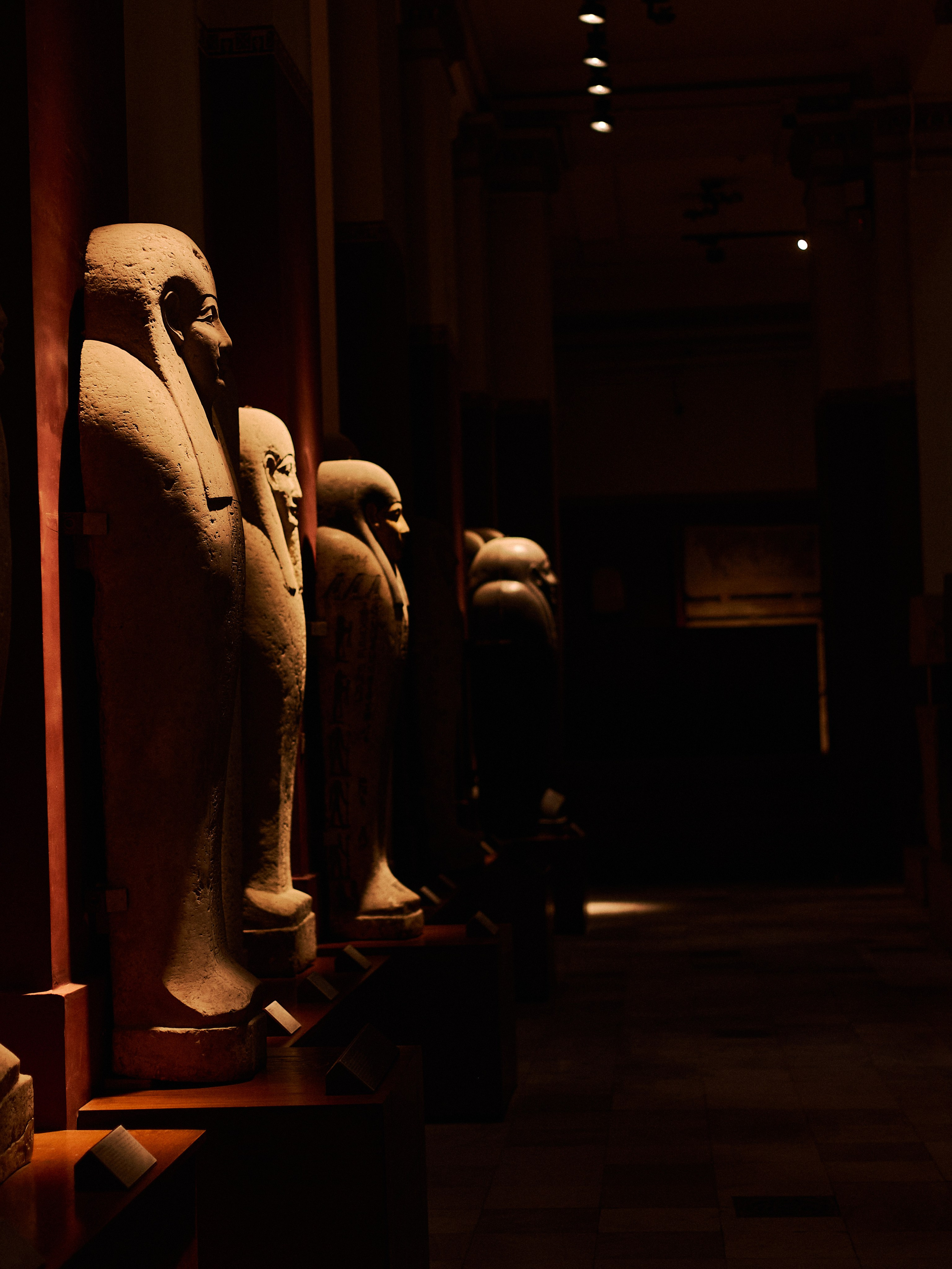 Другое 4. Jorgis — фотограф в Хургаде / обучение фотографии